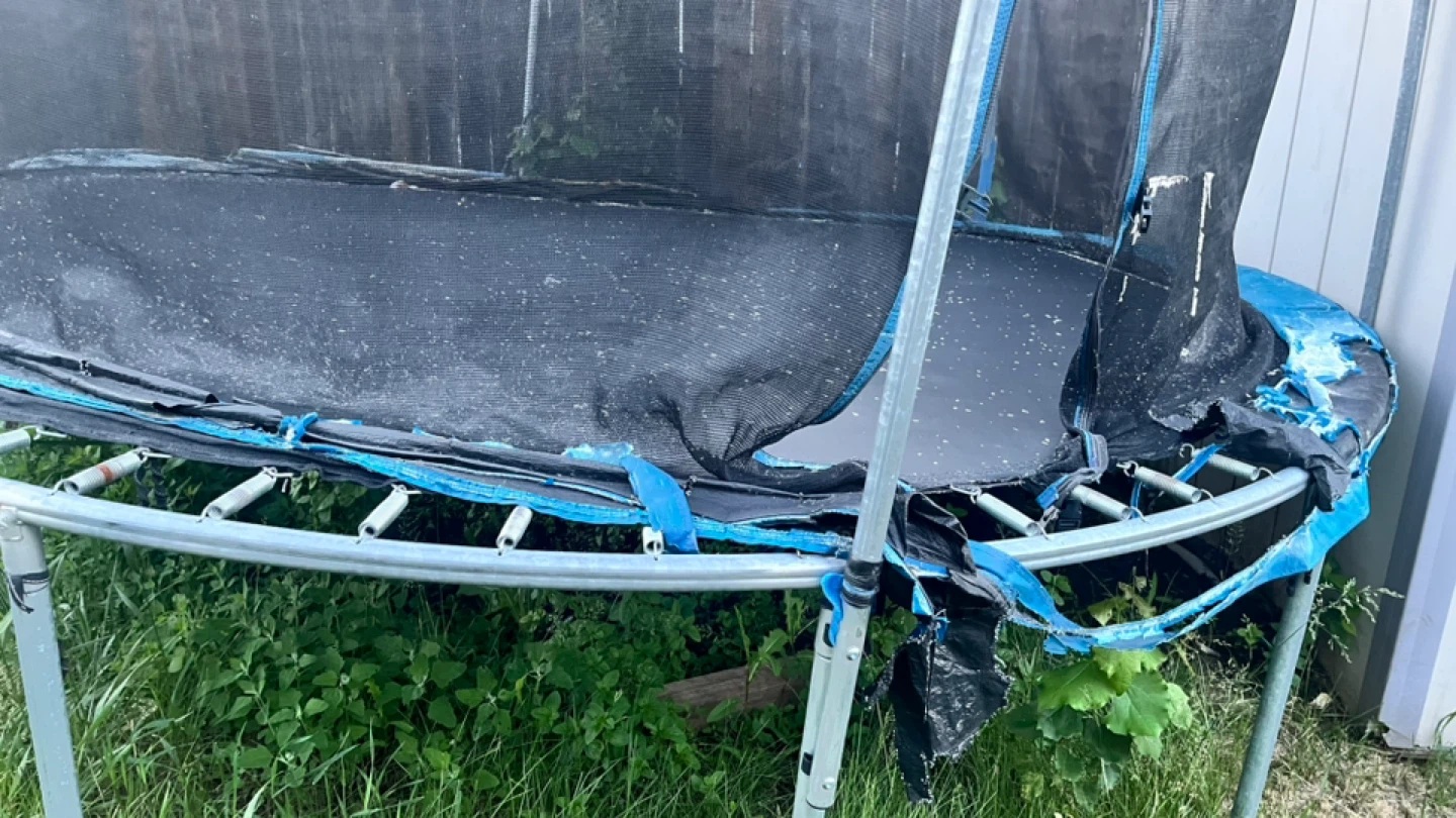 Trampoline - photo 2
