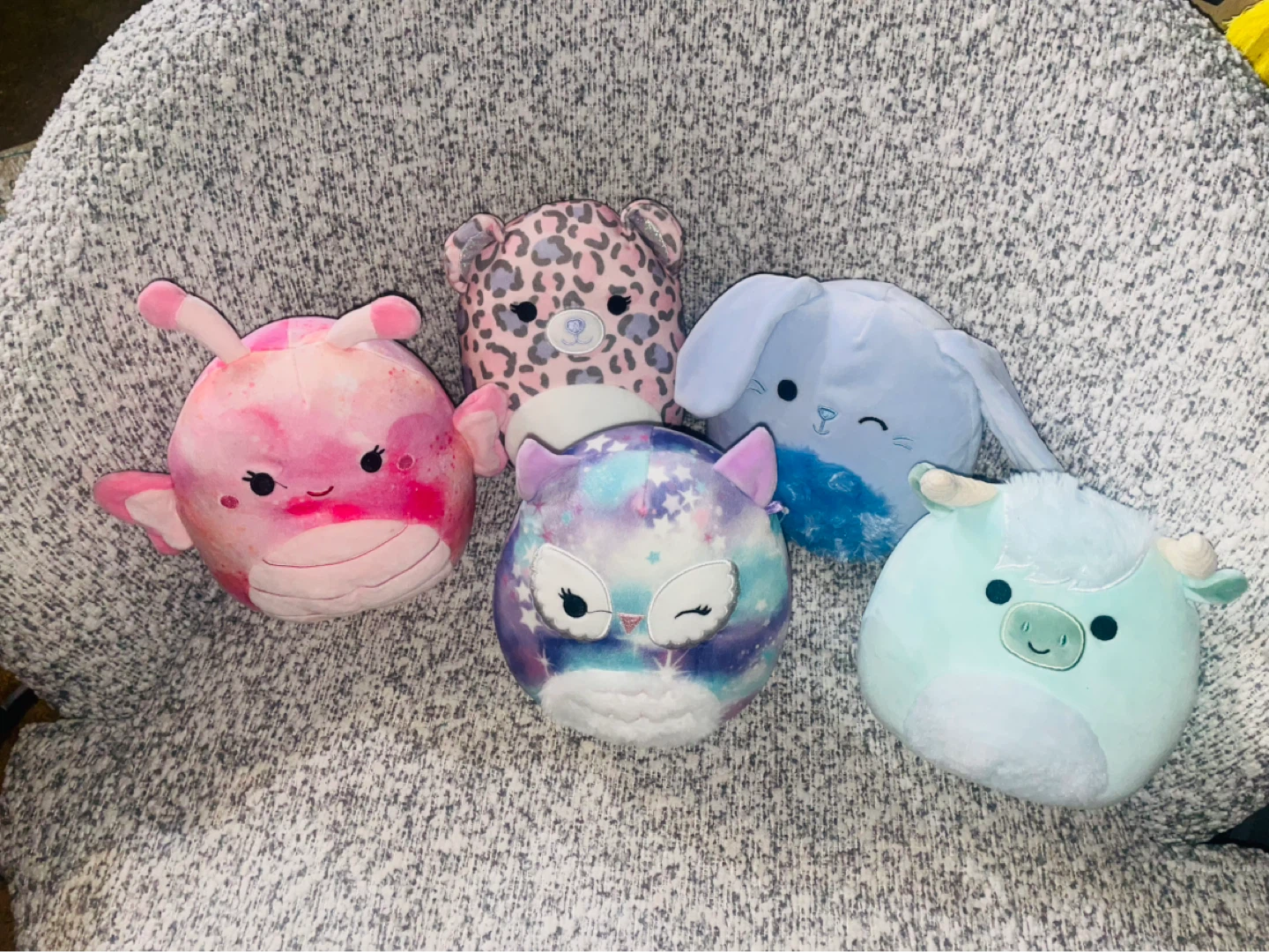 ⚽️ New Squishmallow 8 inch plush