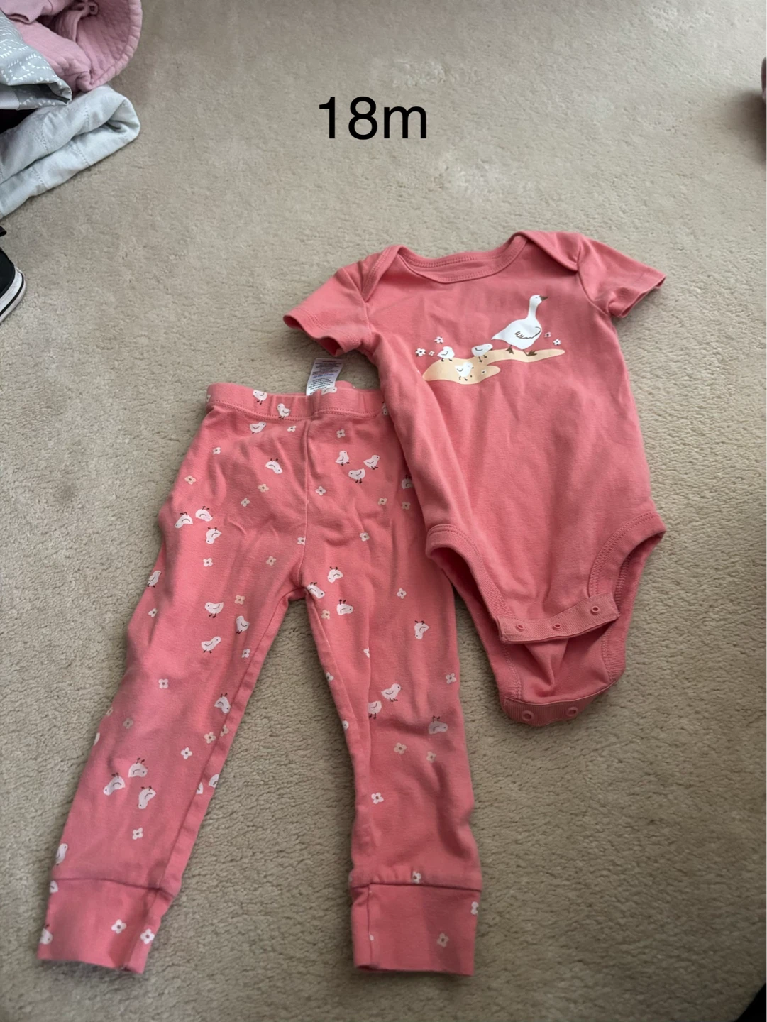 Baby Girl's Clothing sets Bundle (Various Sizes) - photo 3
