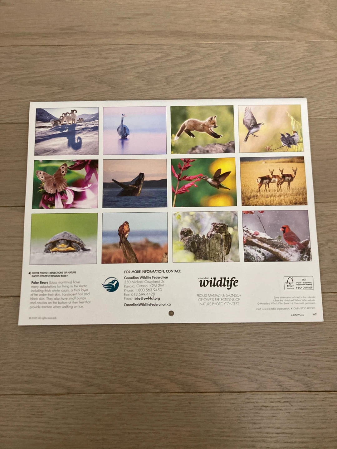 ⚽️2025 Canadian Wildlife Federation Calendar - photo 2