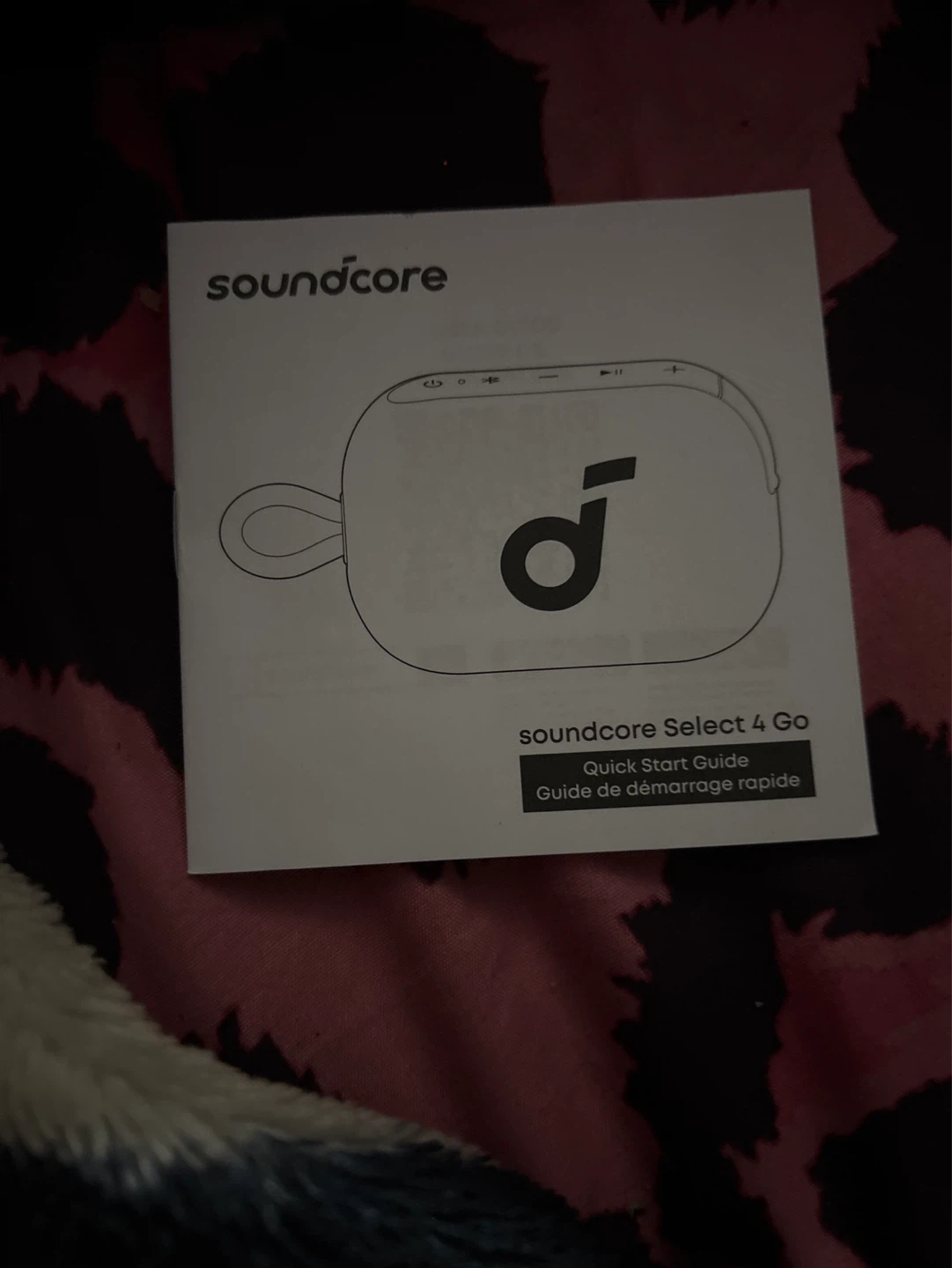 Soundcore Select 4 Go Portable Bluetooth Speaker - photo 2