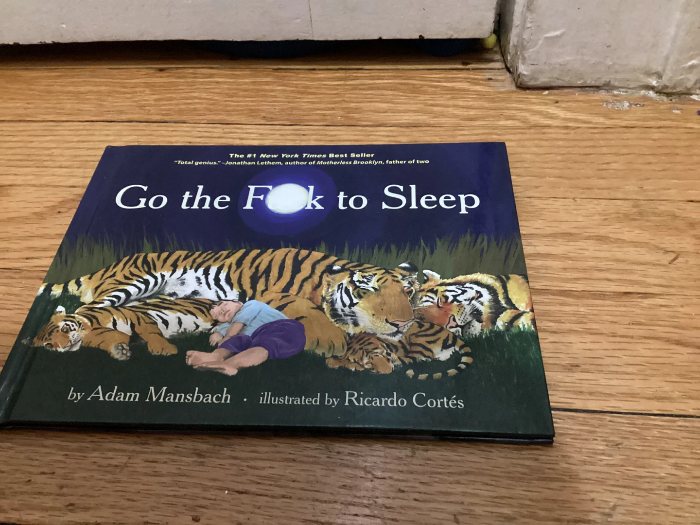 ⚽️Go the F*ck to Sleep by Adam Mansbach Book