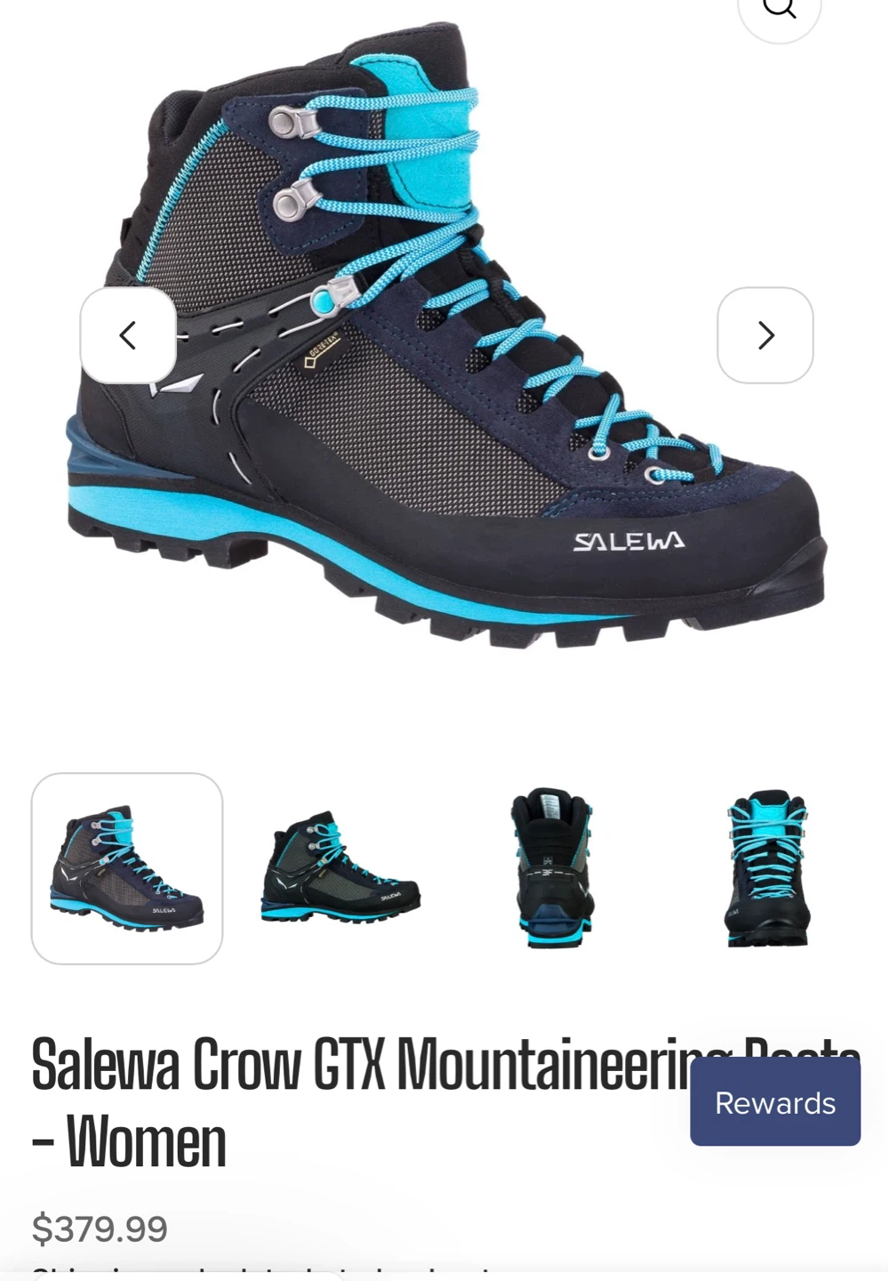 Salewa Crow GTX Mountaineering Boots - Women's