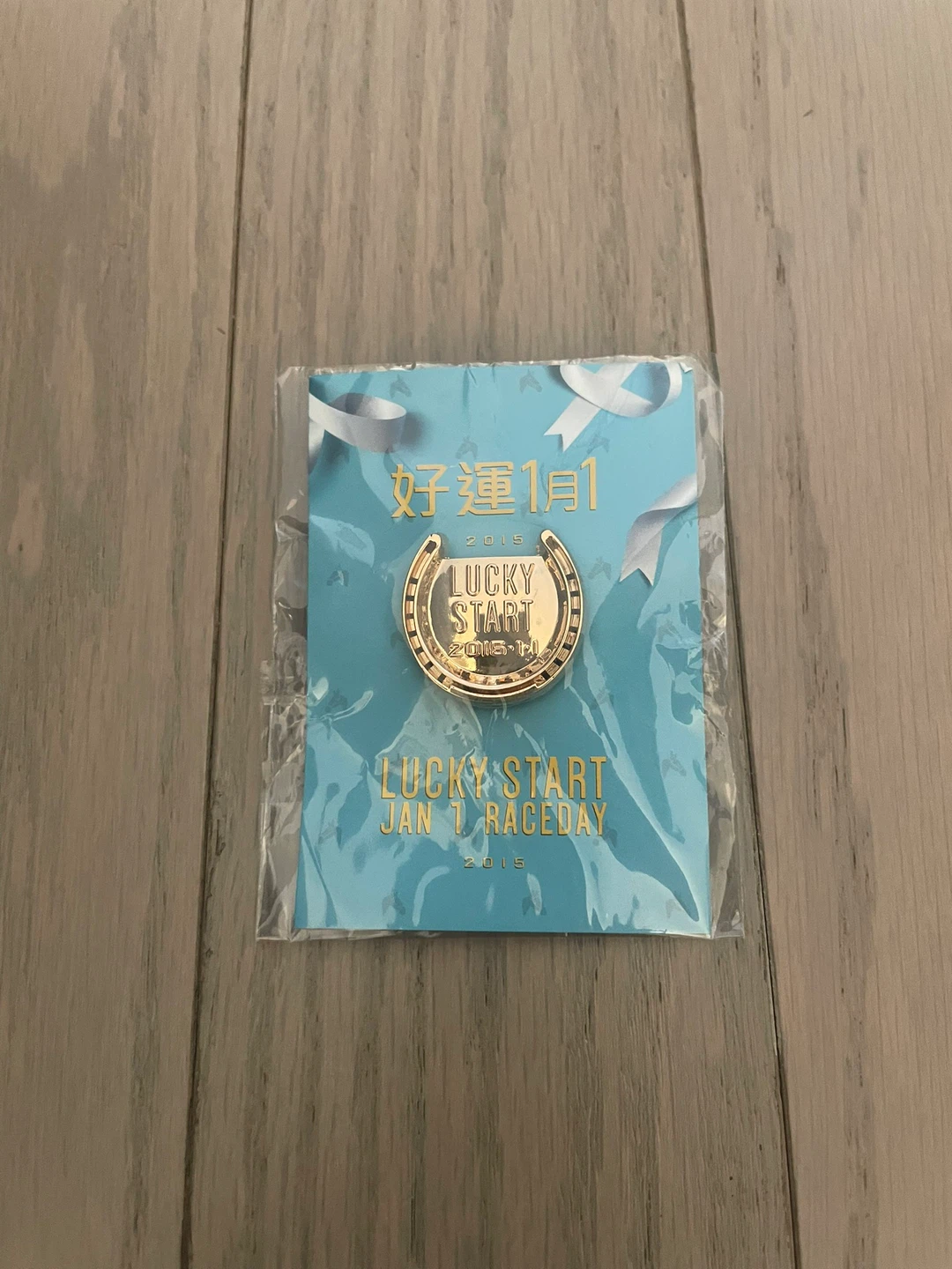 ⚽️Lucky Start Jan 1 Raceday 2015 Pin