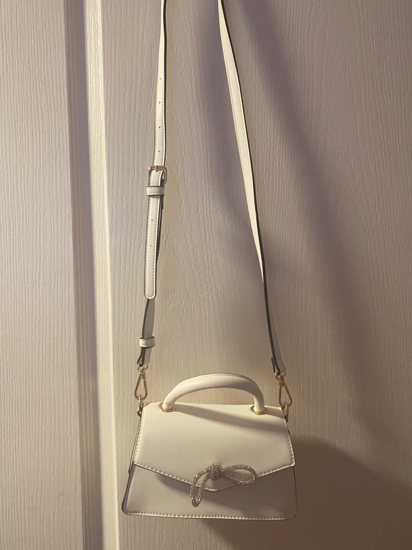 Aldo purse
