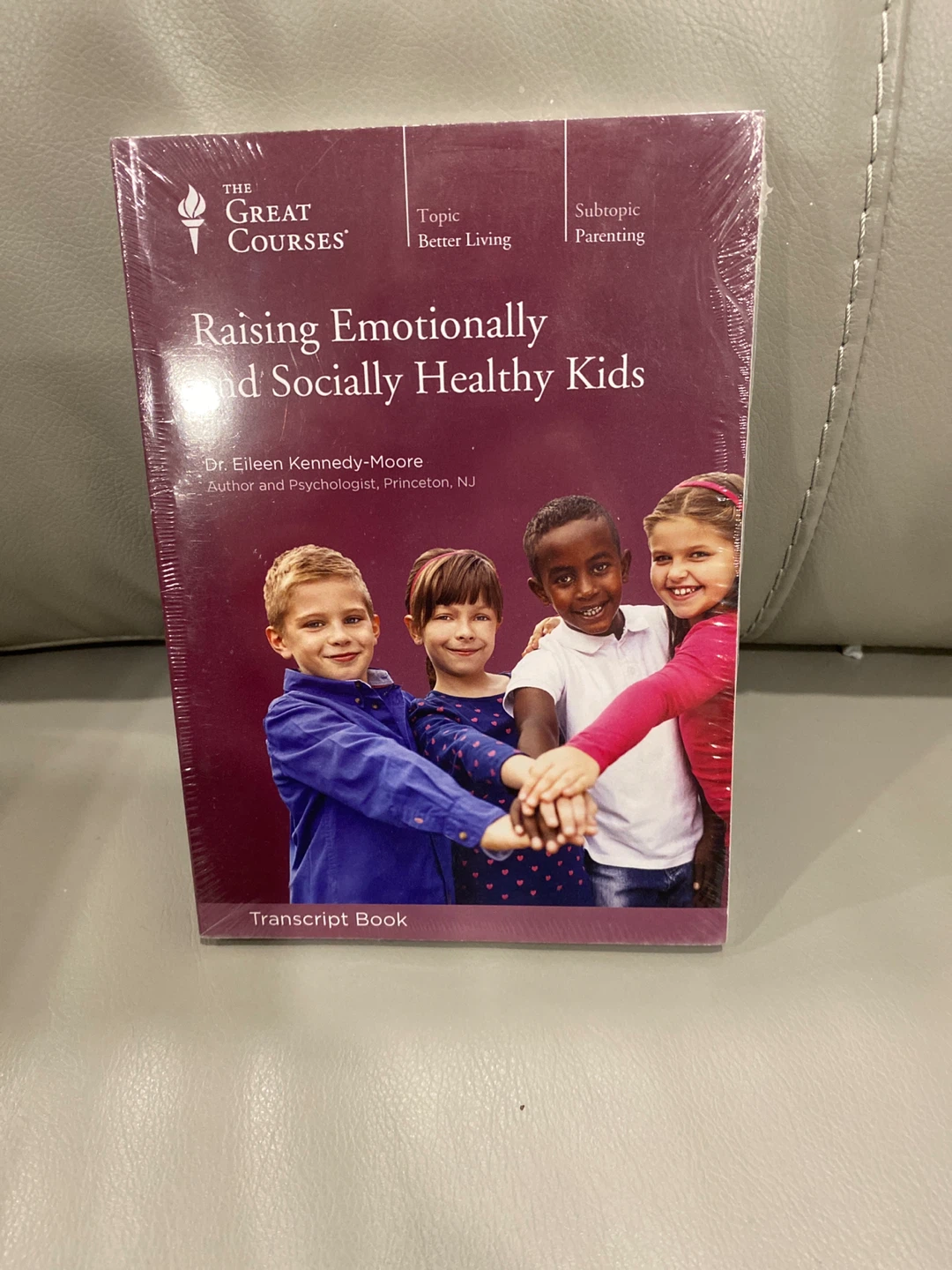 The Great Courses Raising Emotionally and Socially Healthy Kids