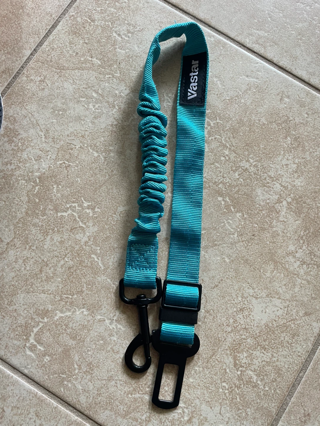 ⚽️ Vastar Teal Pet Seatbelt