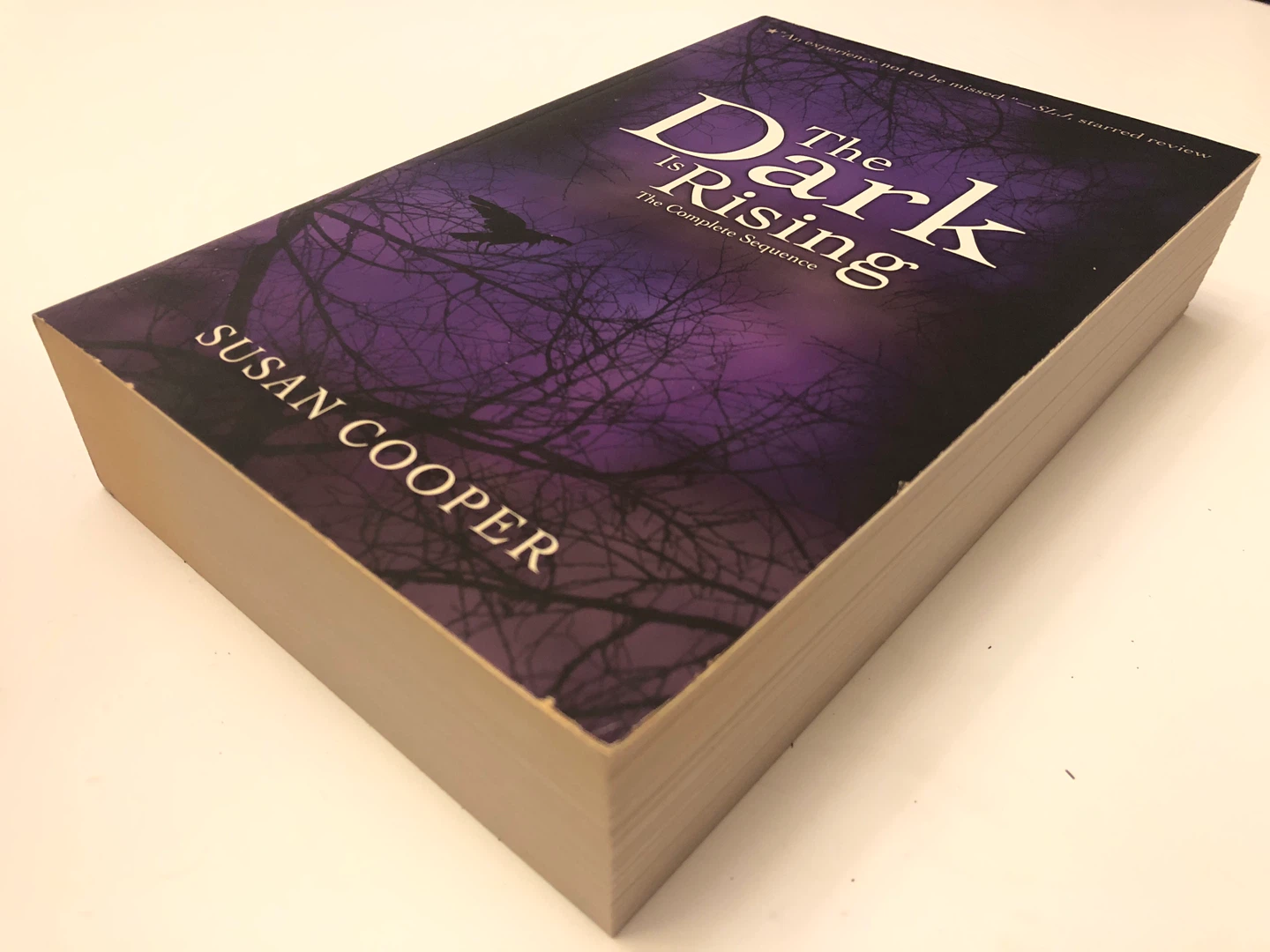 The Dark Is Rising by Susan Cooper - The Complete Sequence Book - photo 2