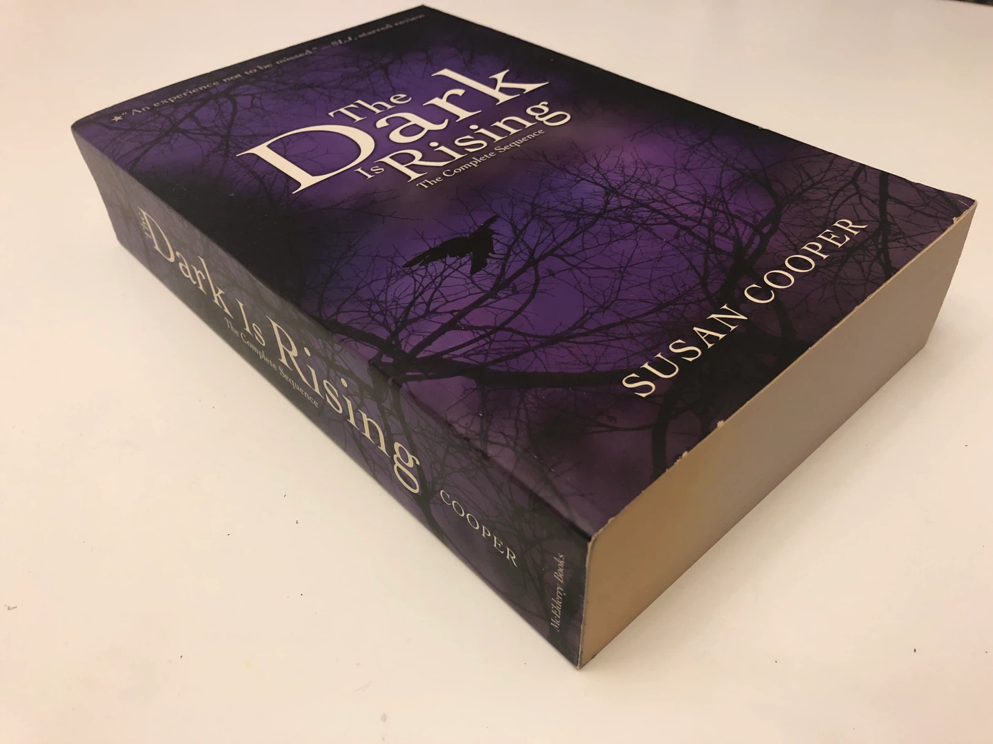 The Dark Is Rising by Susan Cooper - The Complete Sequence Book - photo 3