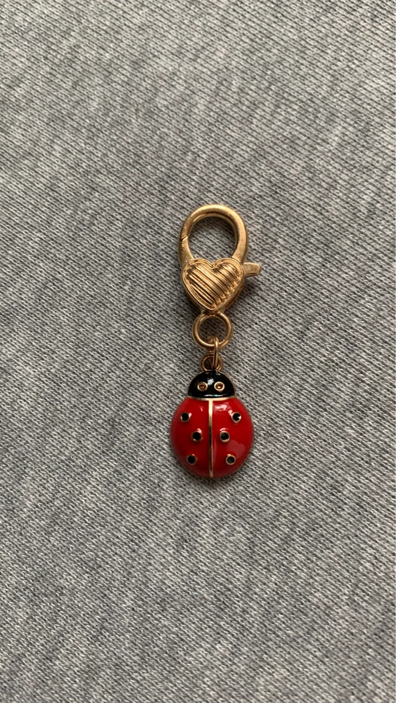Lovely Little Ladybug Charm with Gold Heart Clasp ⚽️