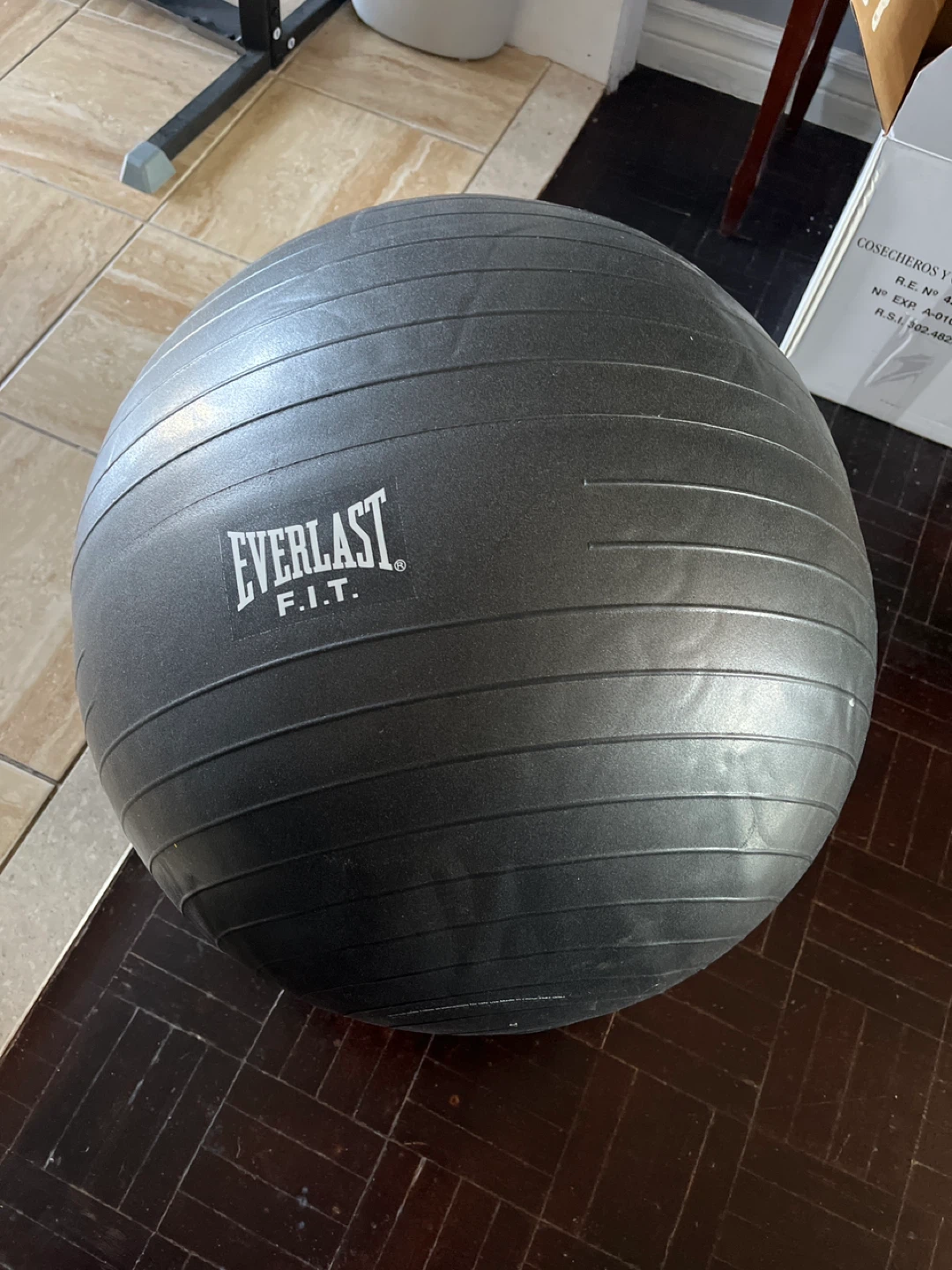 Everlast FIT Exercise Ball