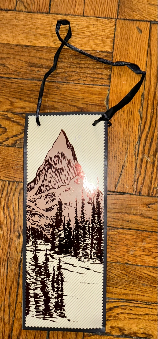Wine Bag w Mountain Scene ⚽️