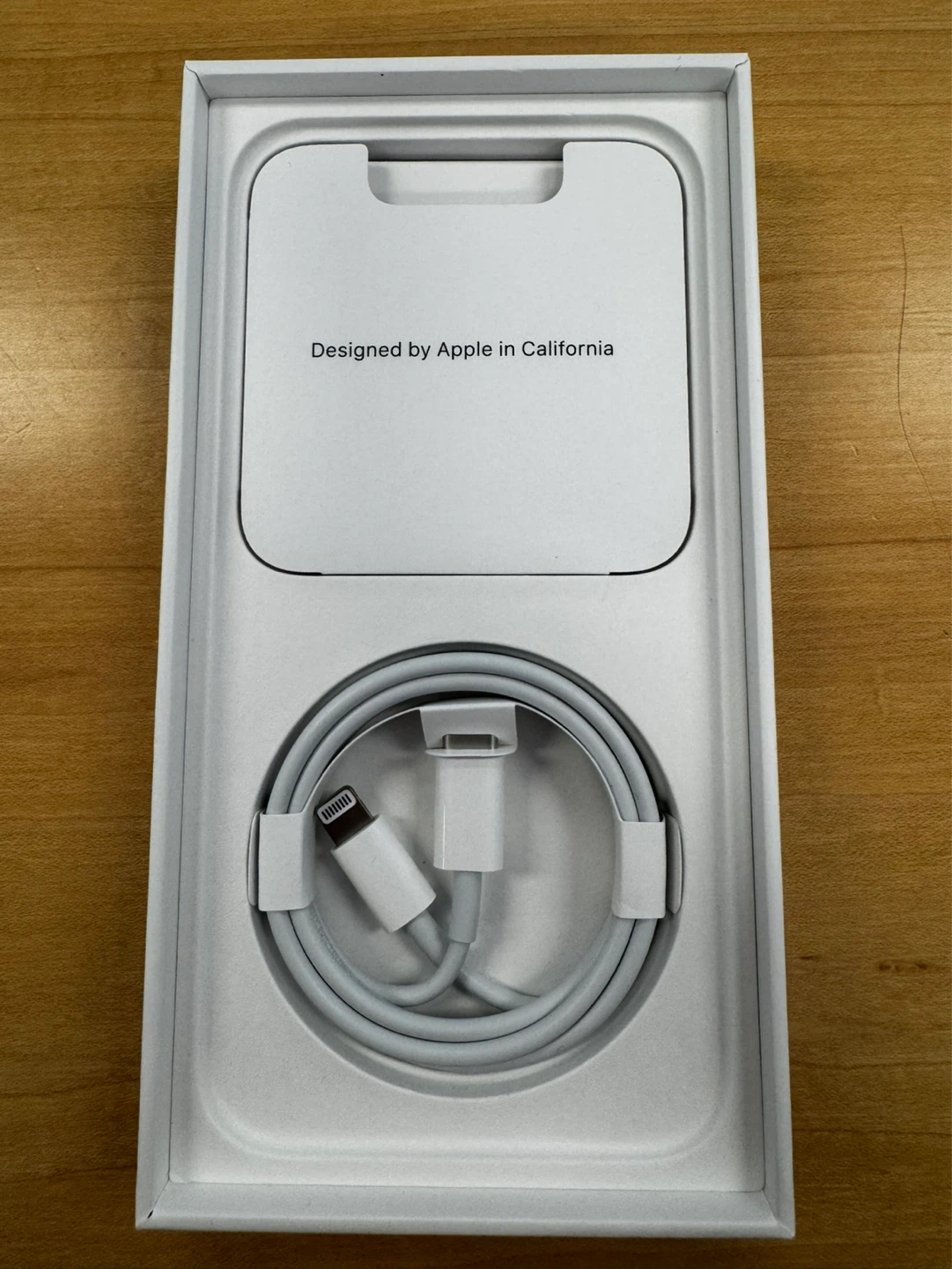 Apple Lightning to USB Cable
