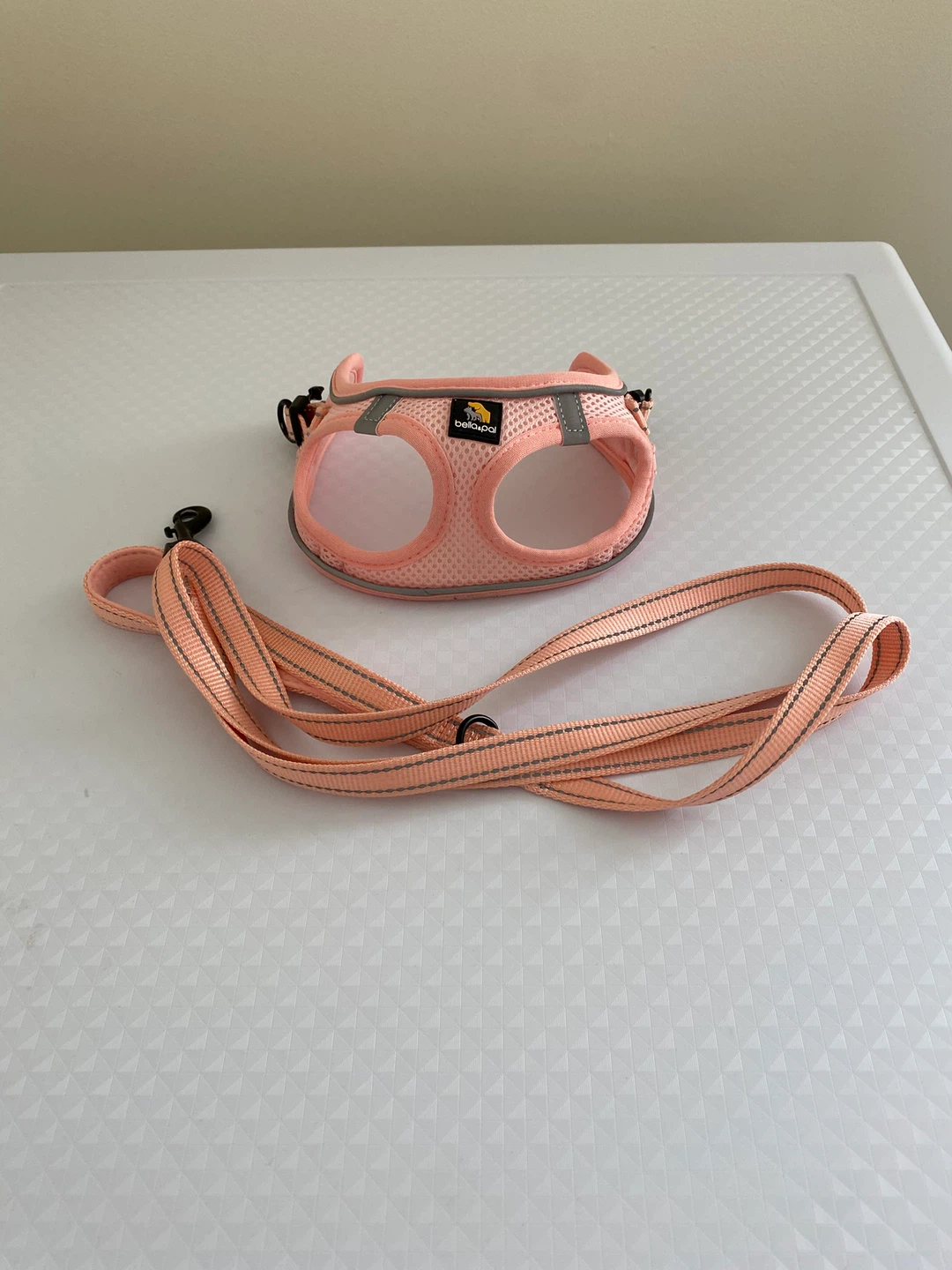 Pink Dog Harness and Leash Set