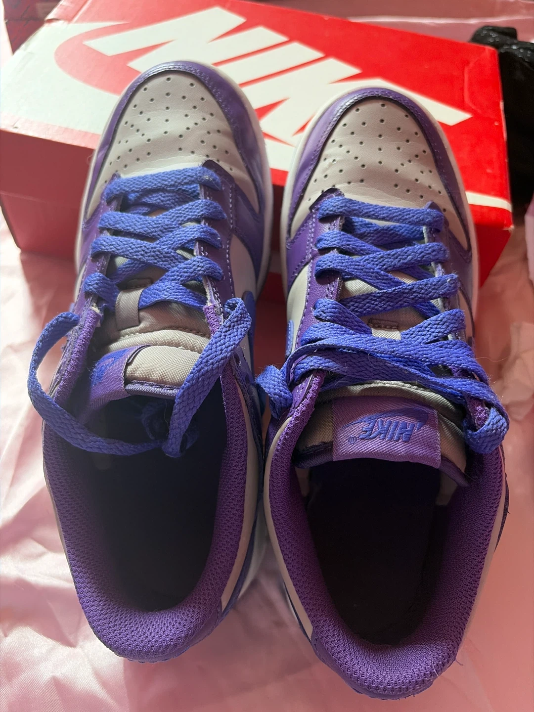 Nike dunks low se