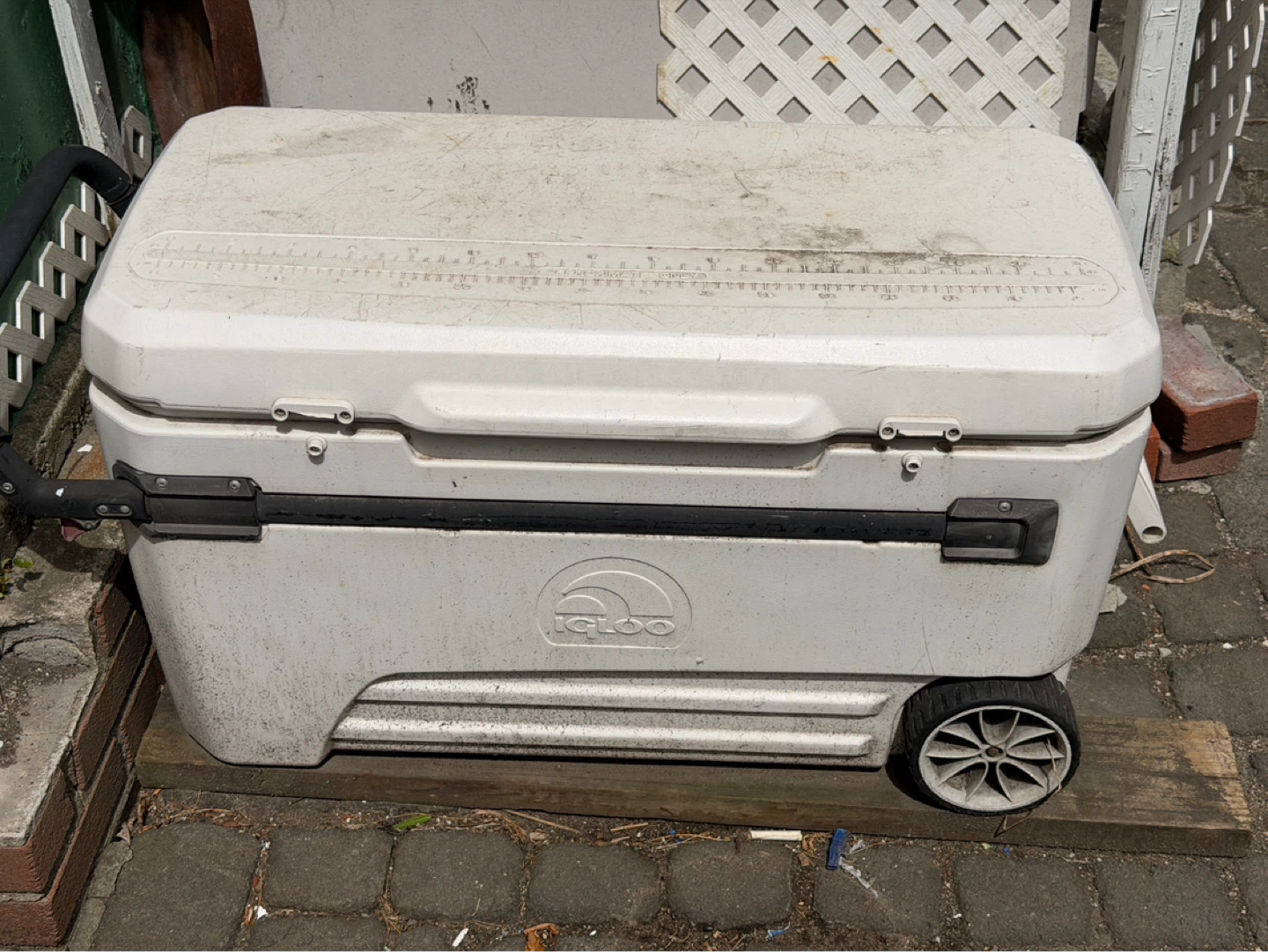 Igloo Cooler with Wheels