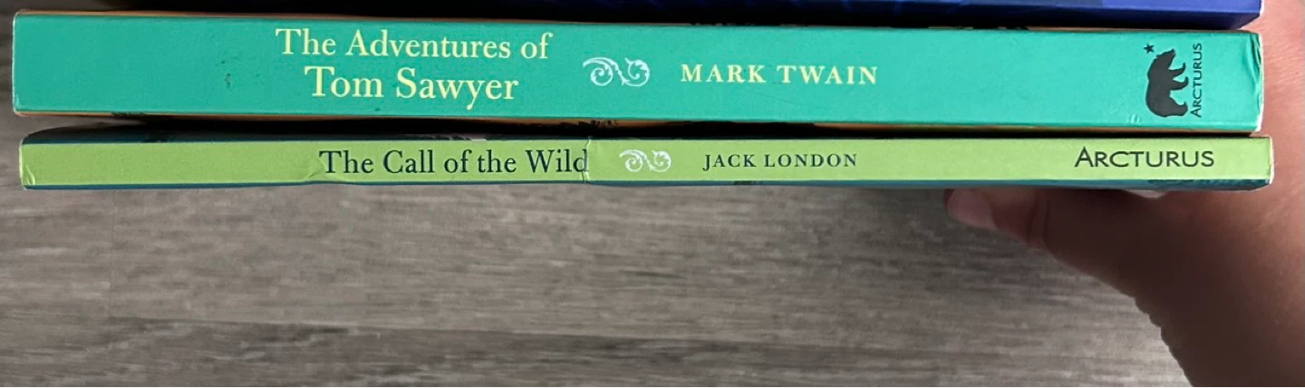 Classic Books: Tom Sawyer & Call of the Wild - photo 3