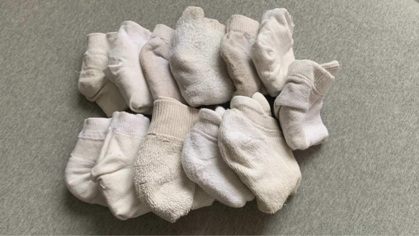 Bundle of 12 White Ankle Socks ⚽️