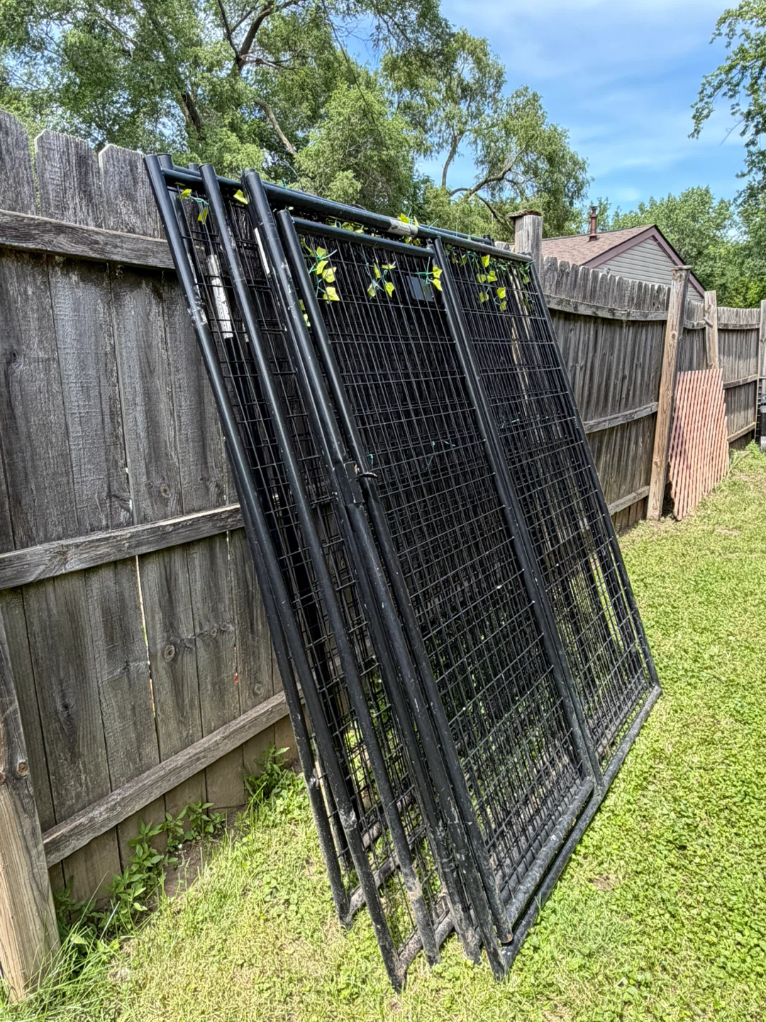 ✨Dog/animal kennel✨ GOOD DEAL✨‼️