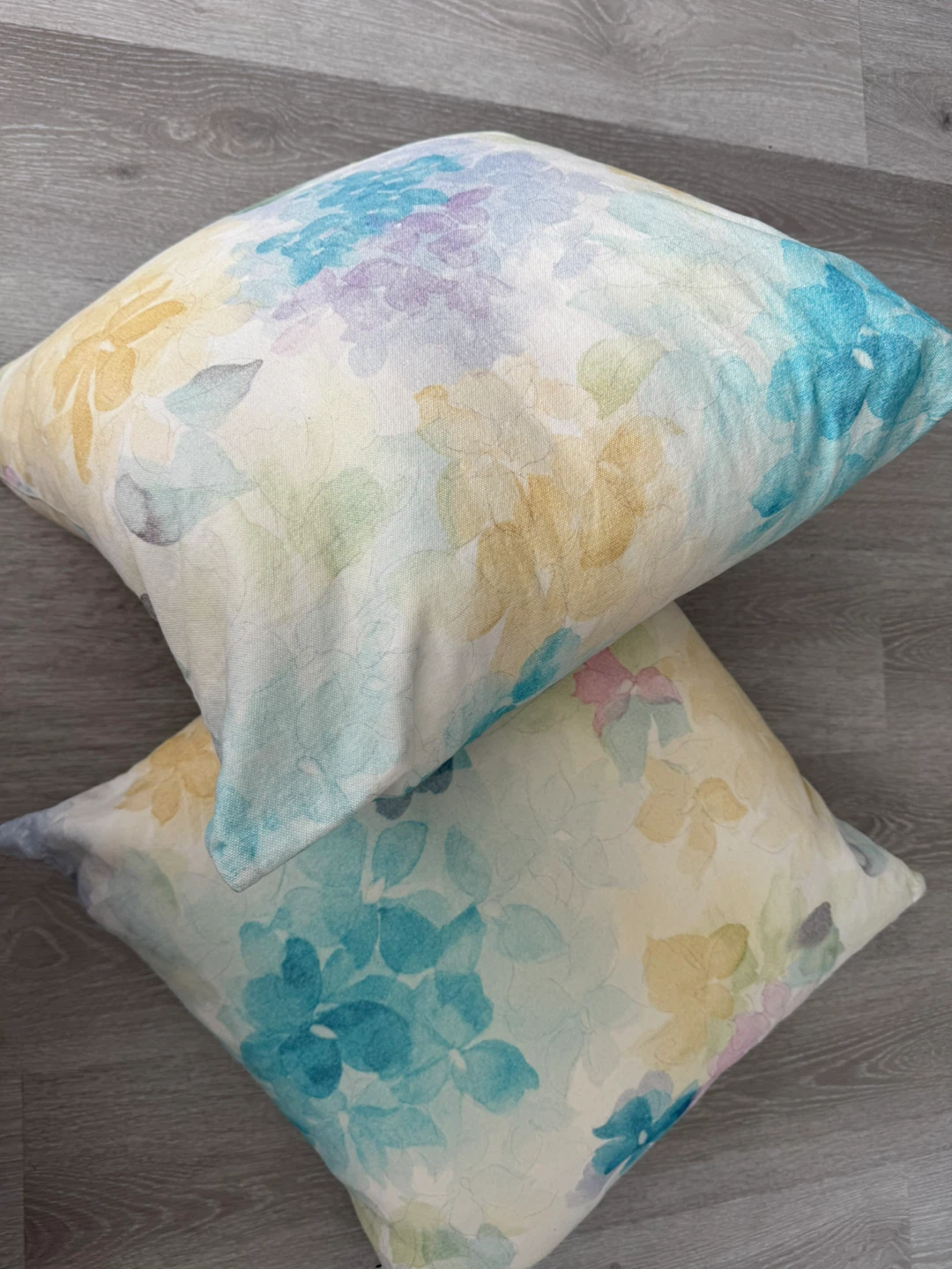 Decorative Throw Pillows (Set of 2)