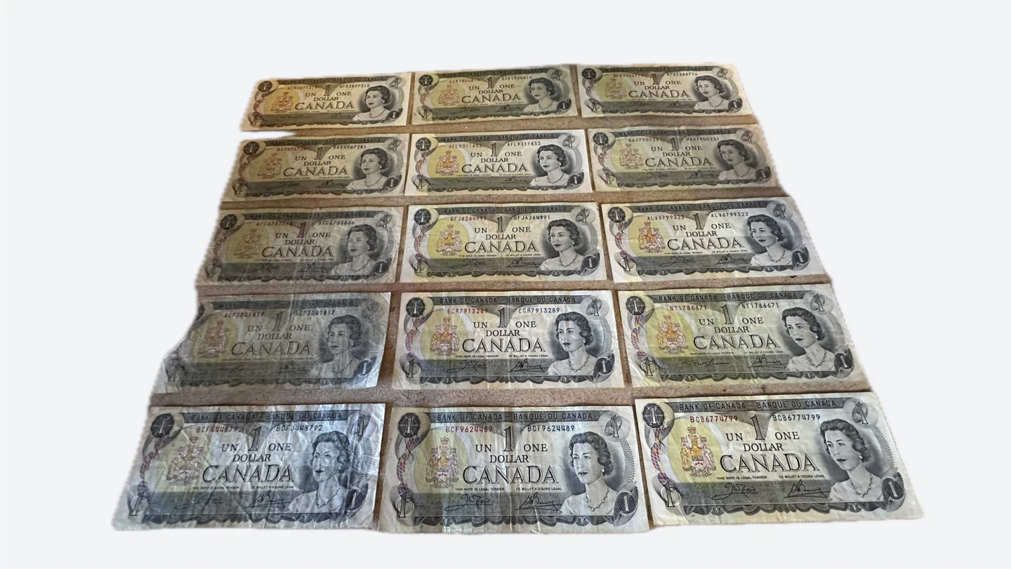 Canada 1 Dollar Banknotes Collection (Various Years) - photo 2