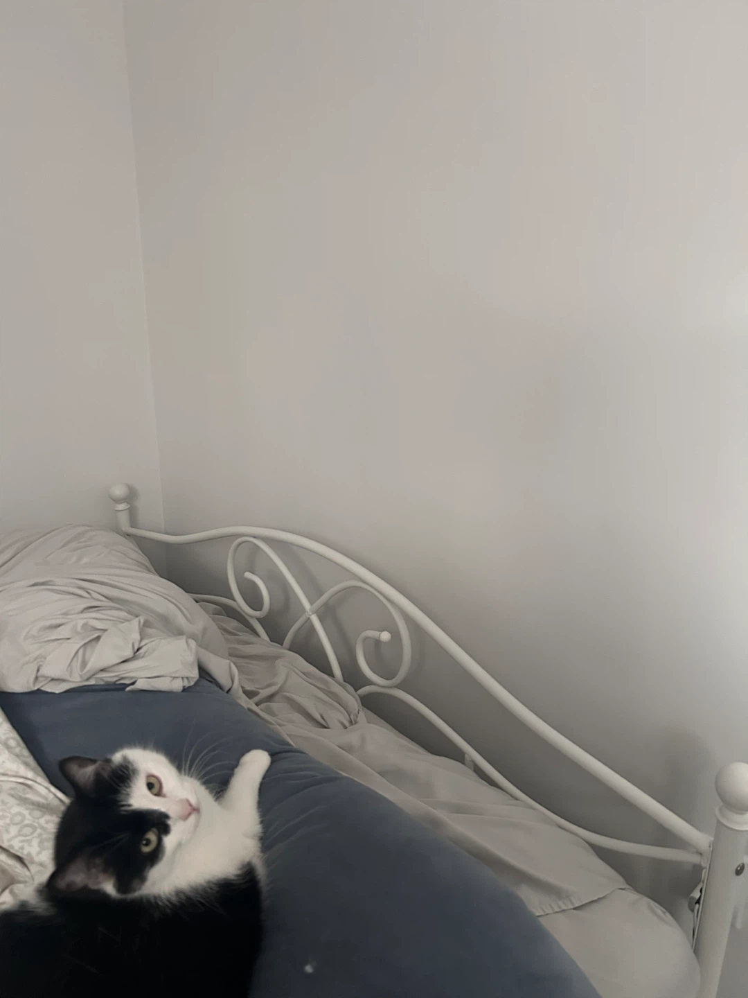 Queen size metal bed frame - photo 4