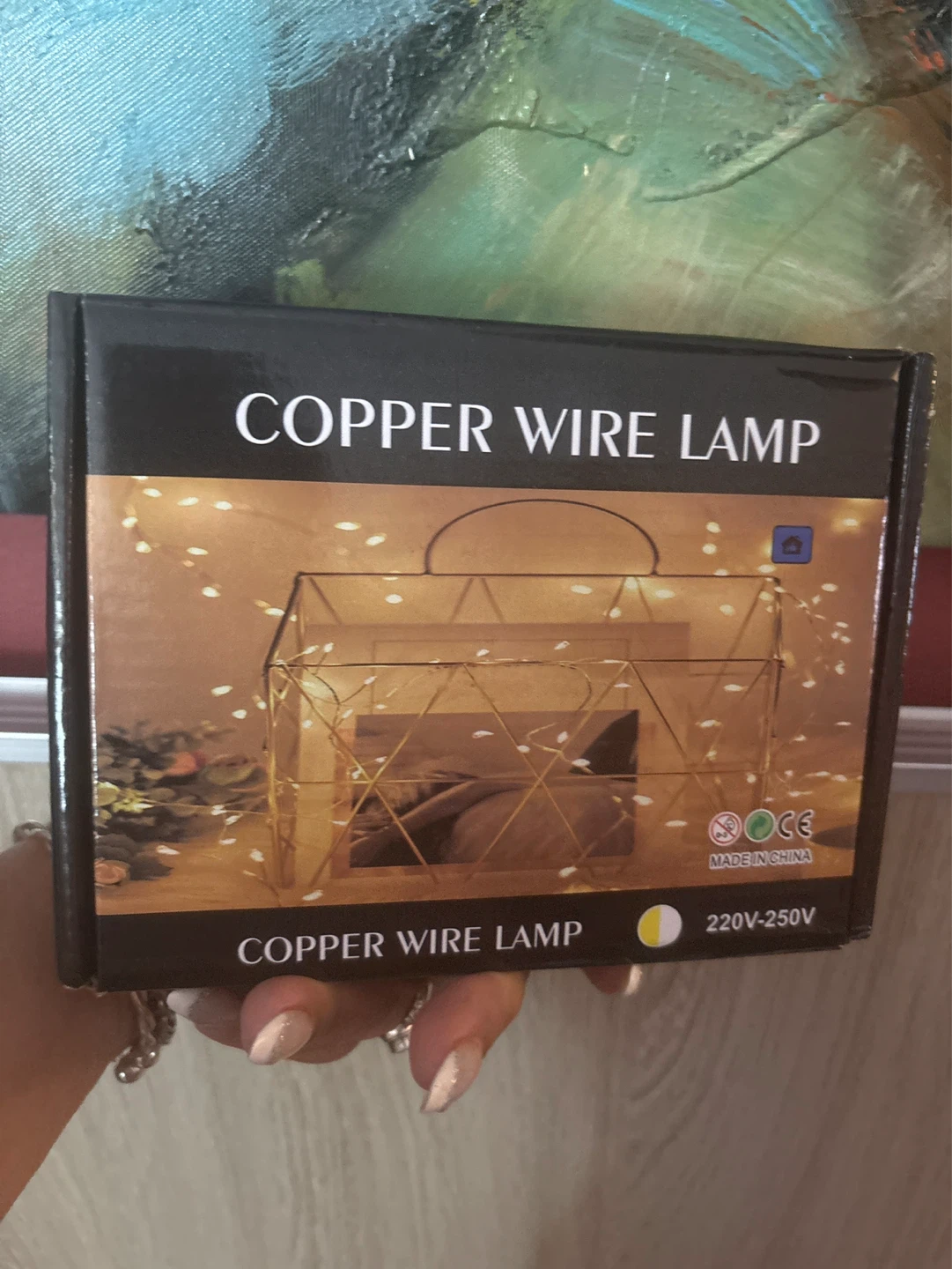 ⚽️ Copper Wire Lamp String Lights - photo 5