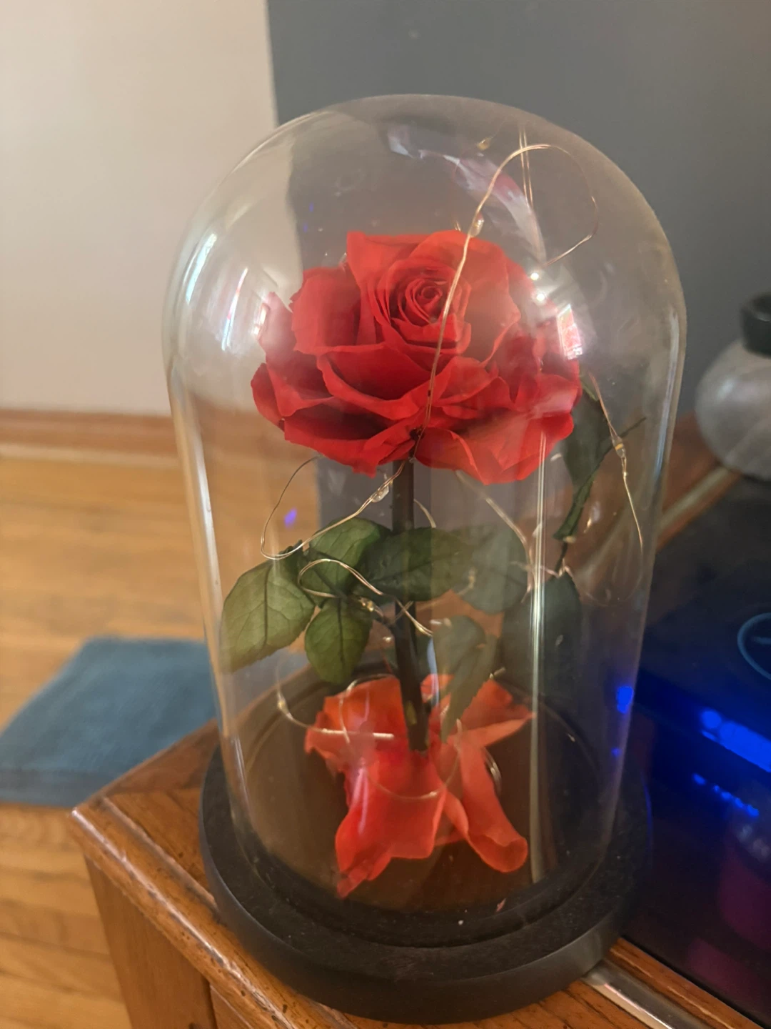 Enchanted Rose Dome with Fairy Lights