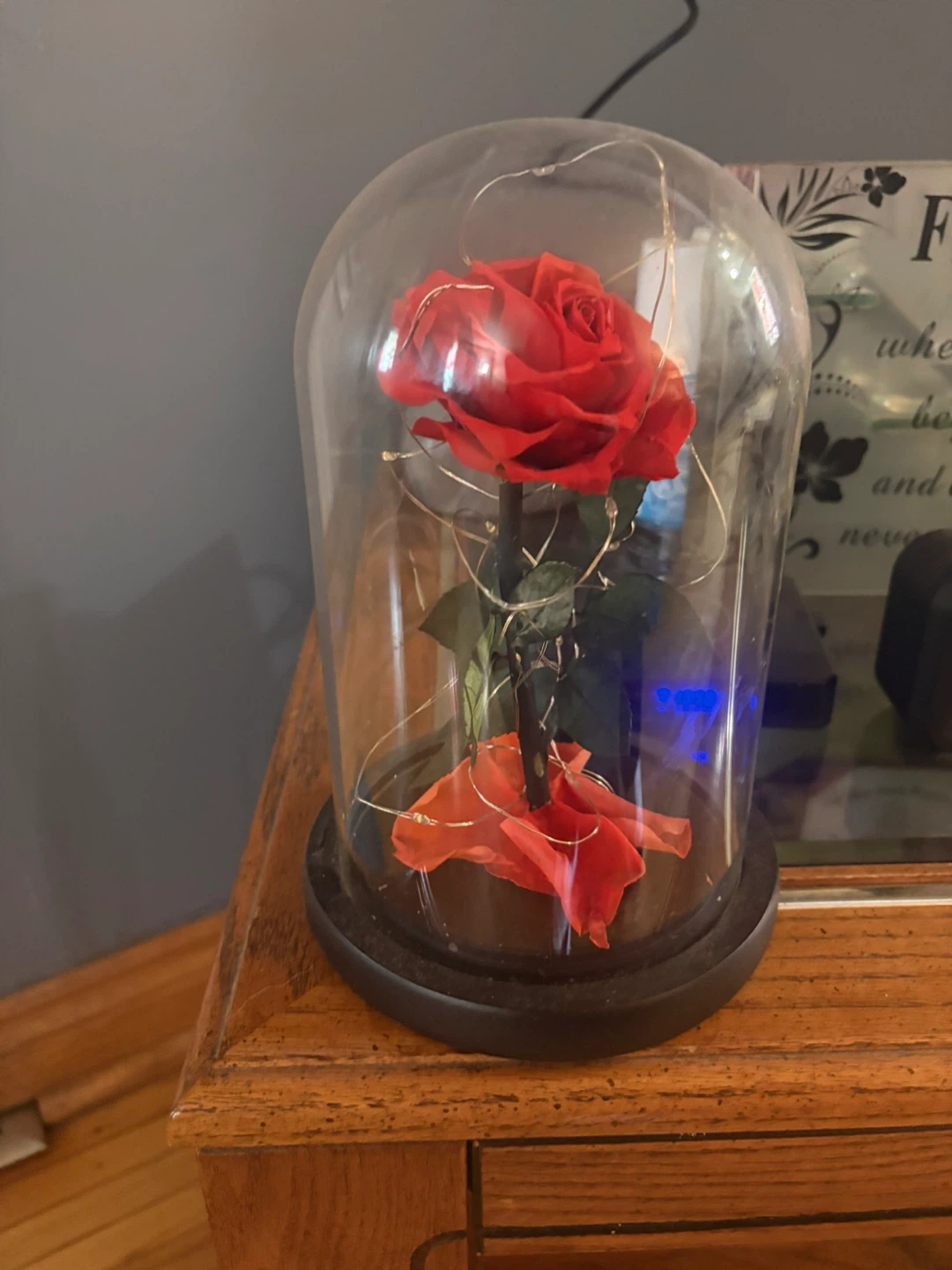 Enchanted Rose Dome with Fairy Lights - photo 3