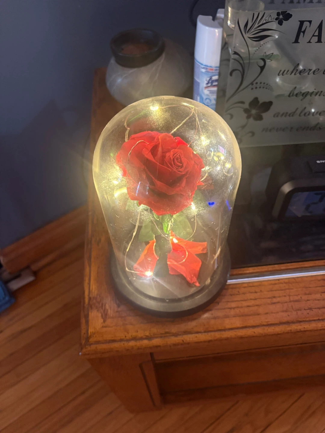 Enchanted Rose Dome with Fairy Lights - photo 5