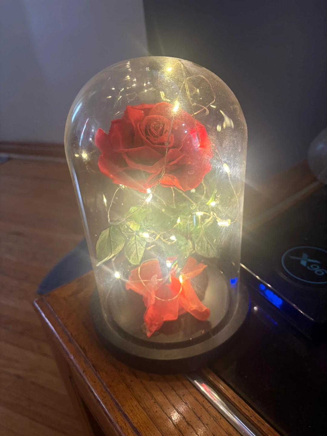 Enchanted Rose Dome with Fairy Lights - photo 4