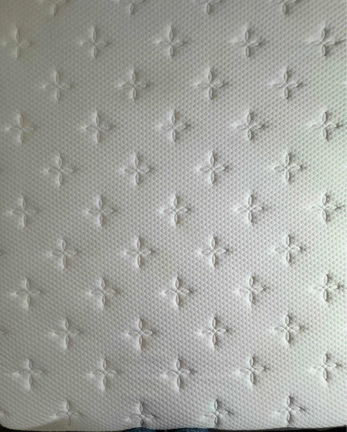 Extremely comfortable Selene Queen Mattress 12 inch - photo 4