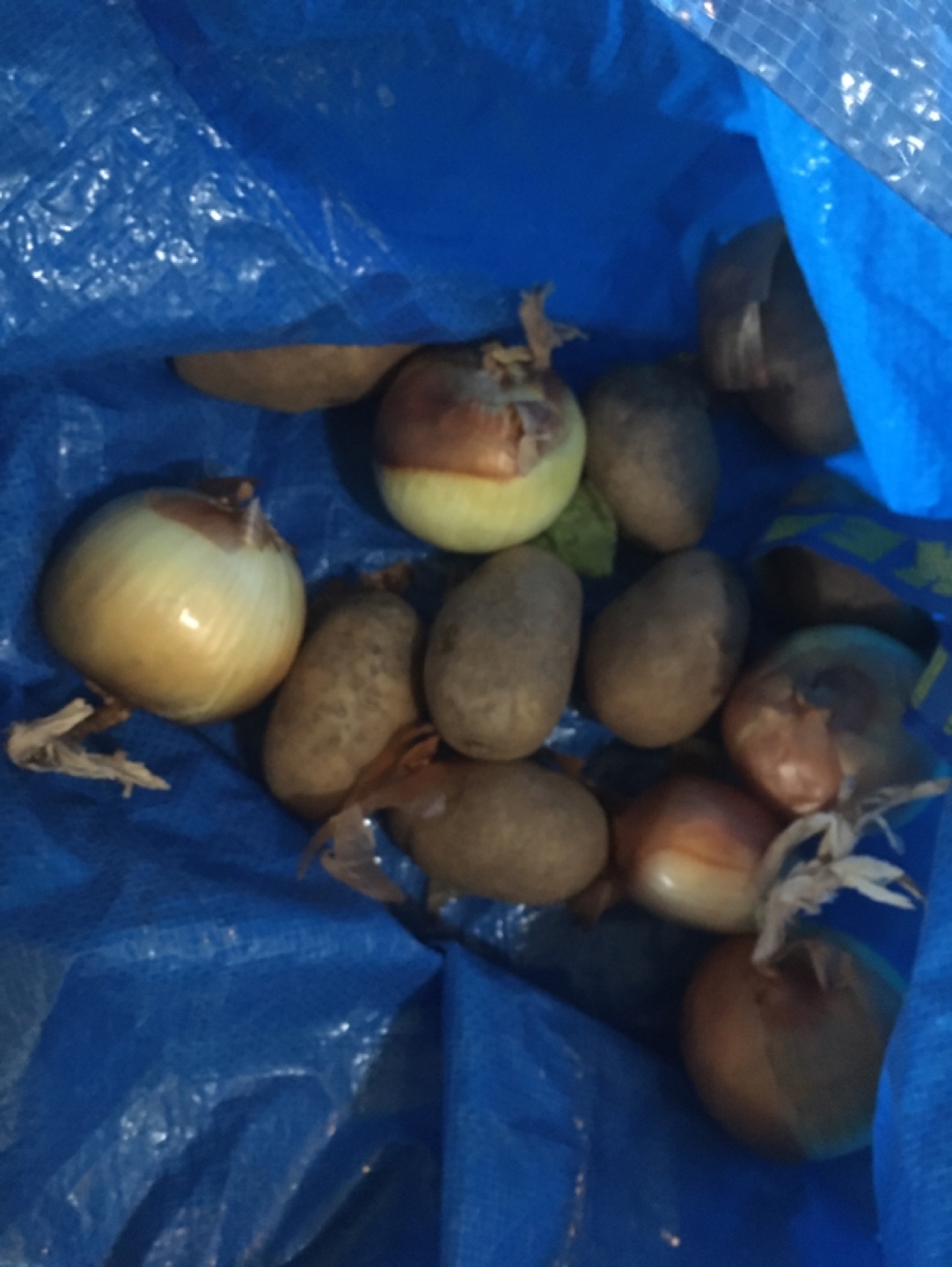 Assorted Groceries - Apples, Cucumbers, Potatoes, Onions & More - photo 3