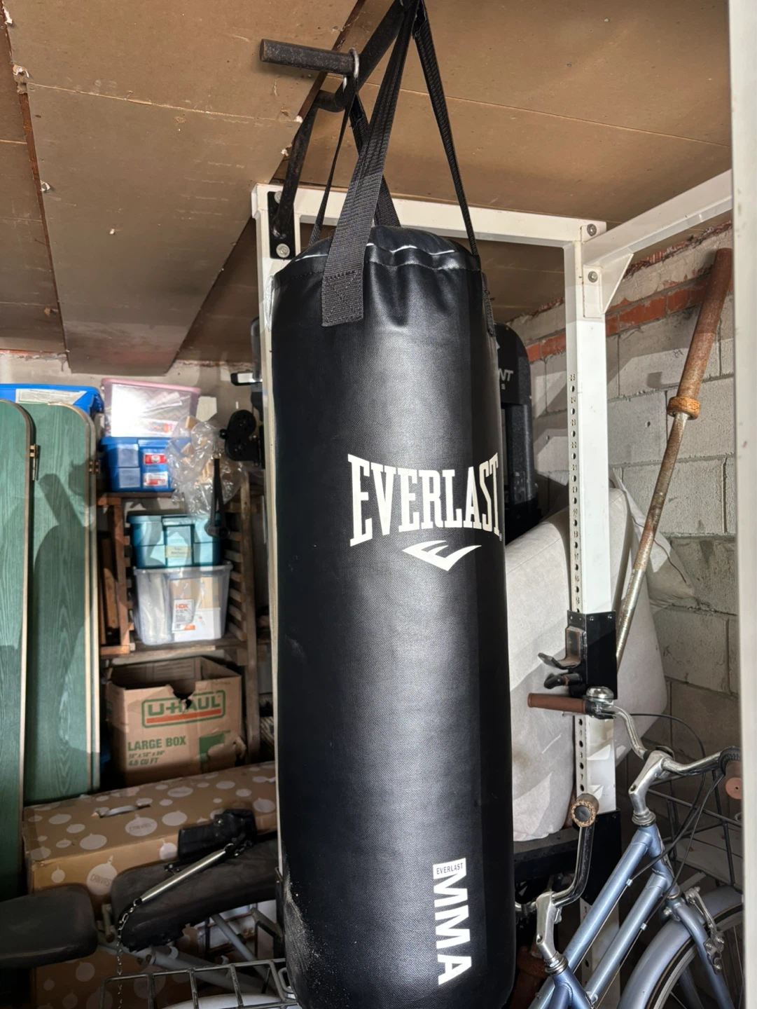 Everlast MMA Punching Bag