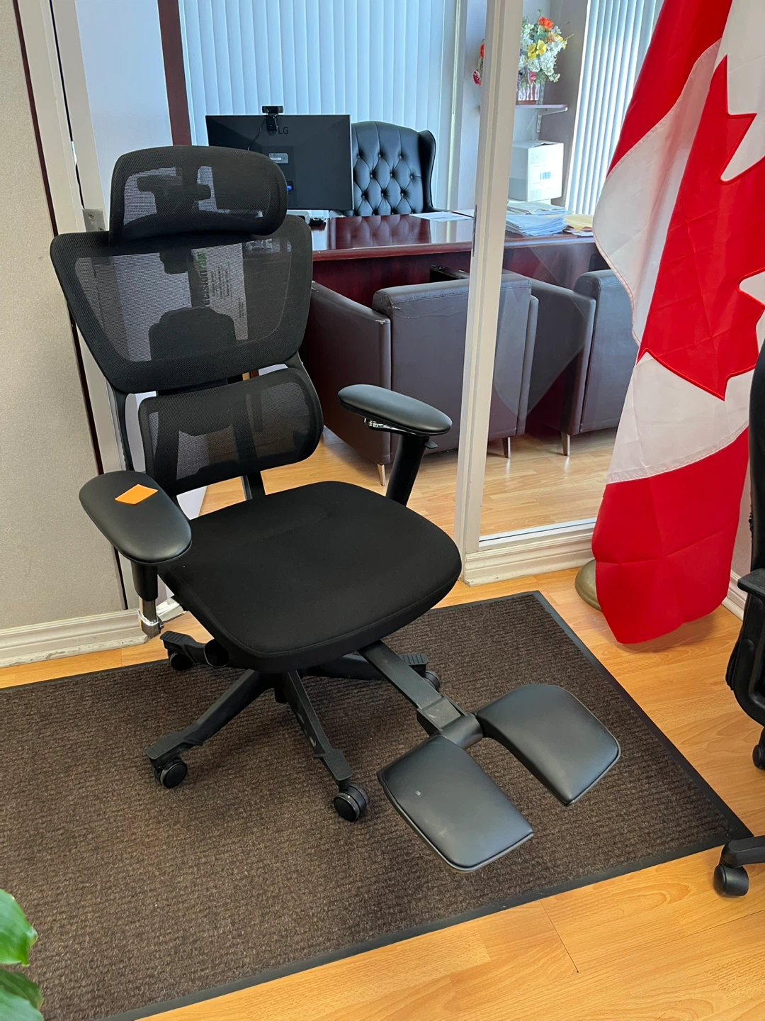Ergonomic Office Chair with Footrest