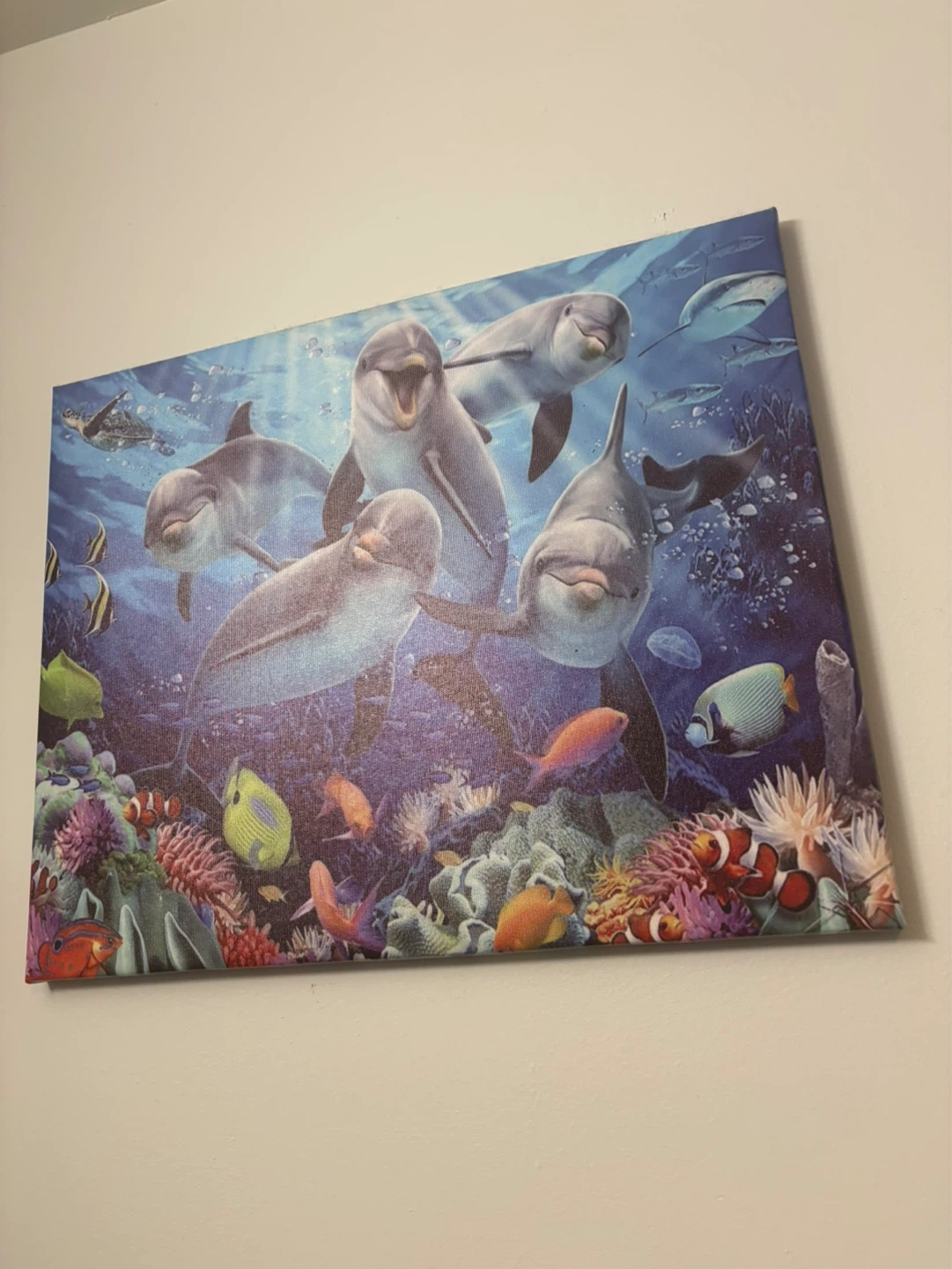 Dolphin and Coral Reef Canvas Wall Art