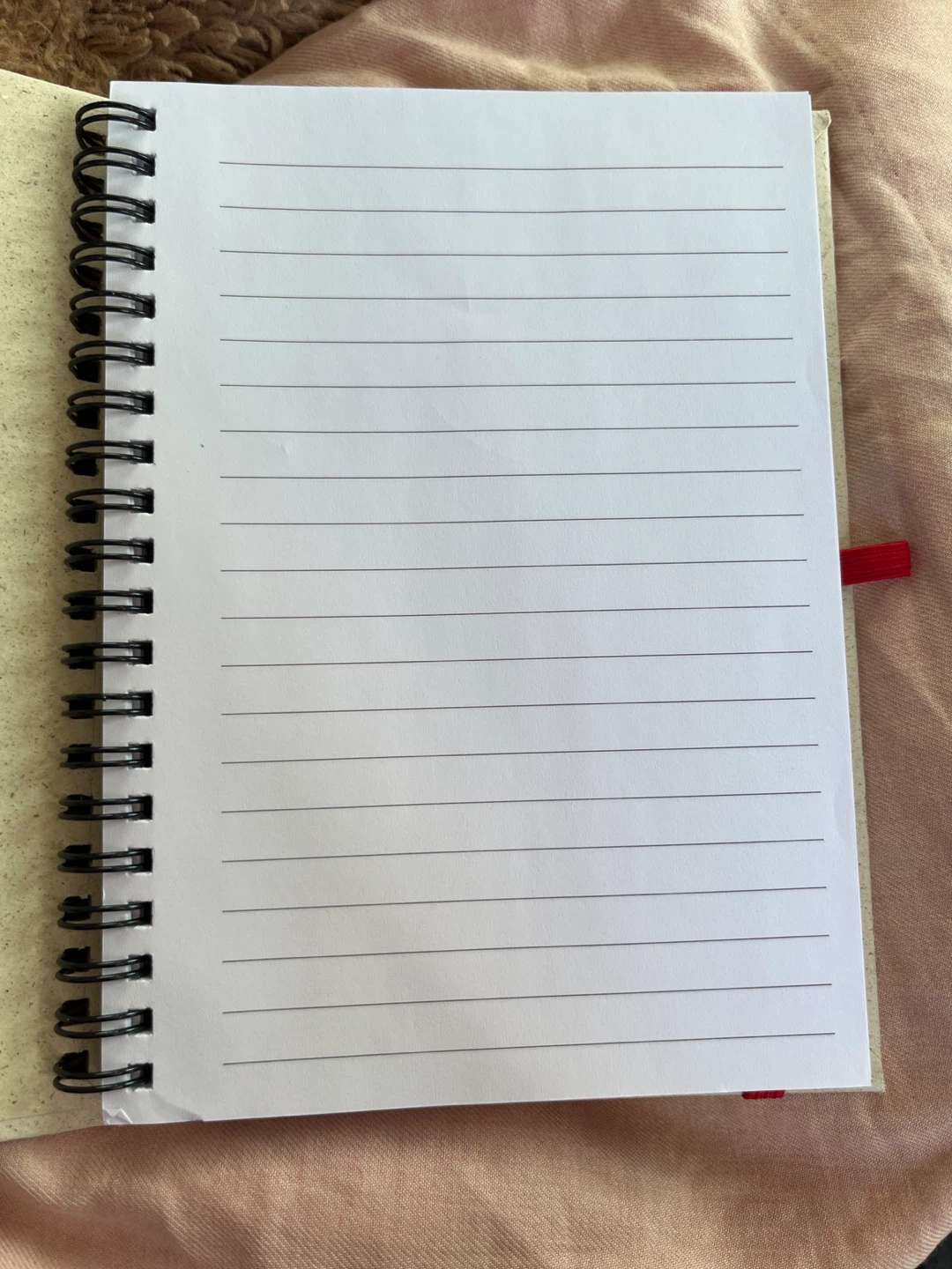 ⚽️Coca-Cola Spiral Notebook - photo 2