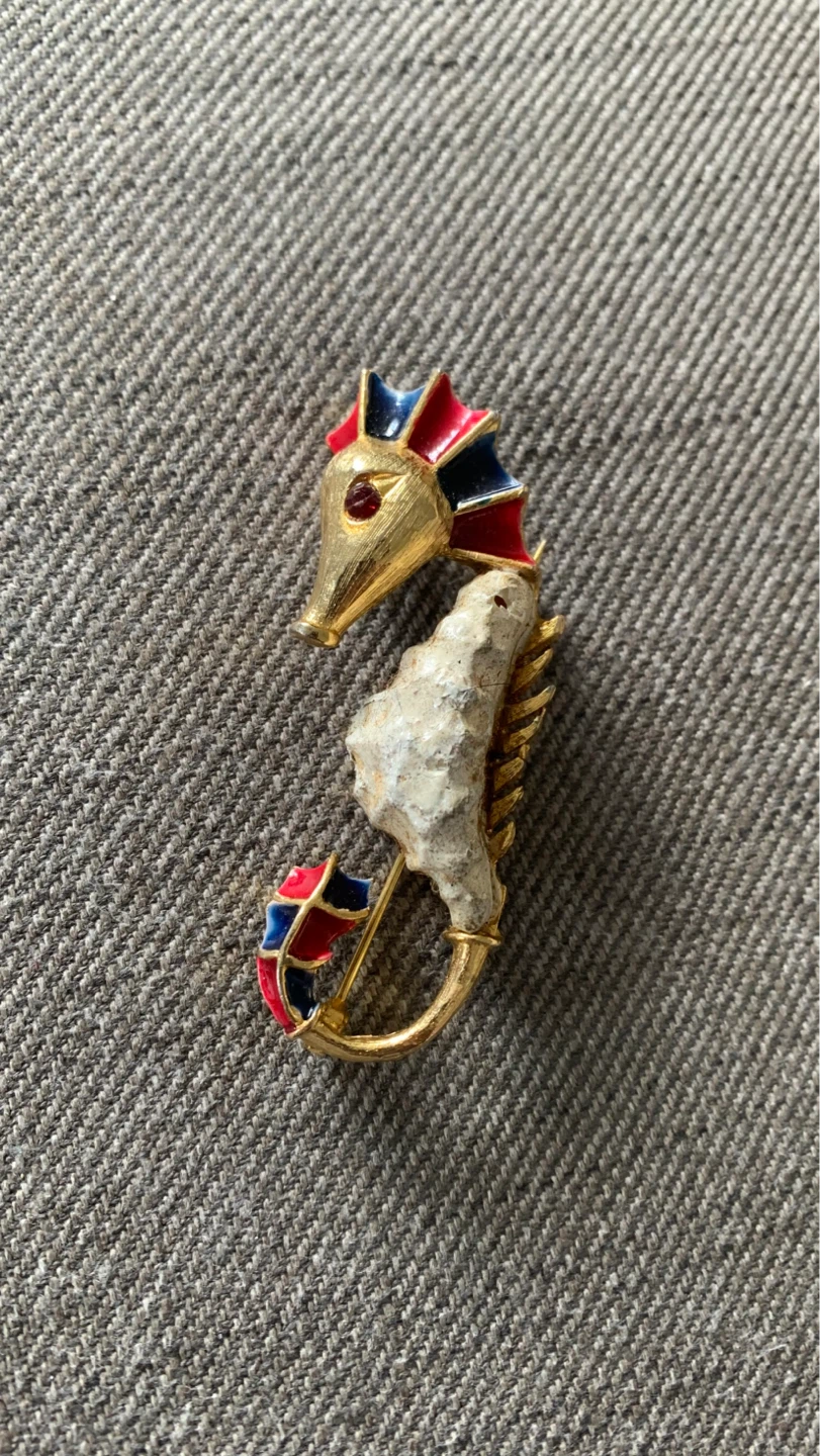 Seahorse Brooch Pin ⚽️
