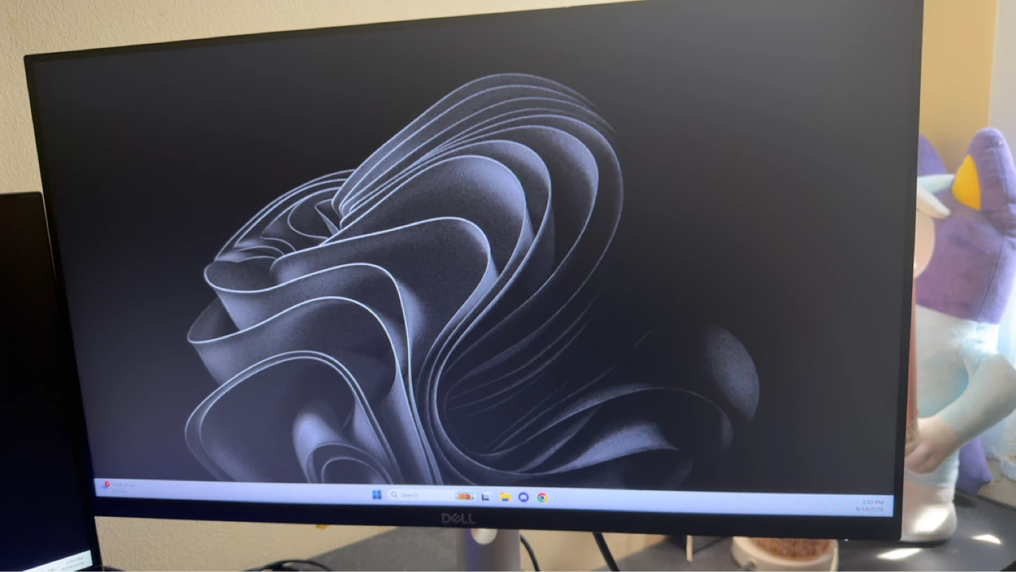 Dell 24in Monitor