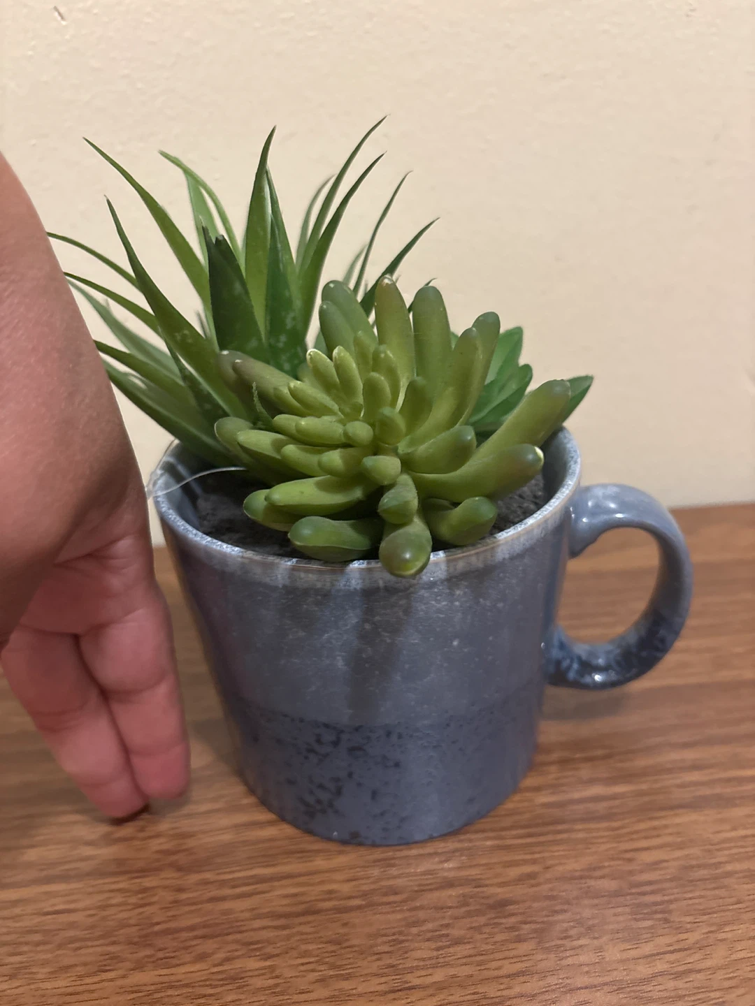 ⚽ Faux Succulent Plant in Ceramic Mug Planter