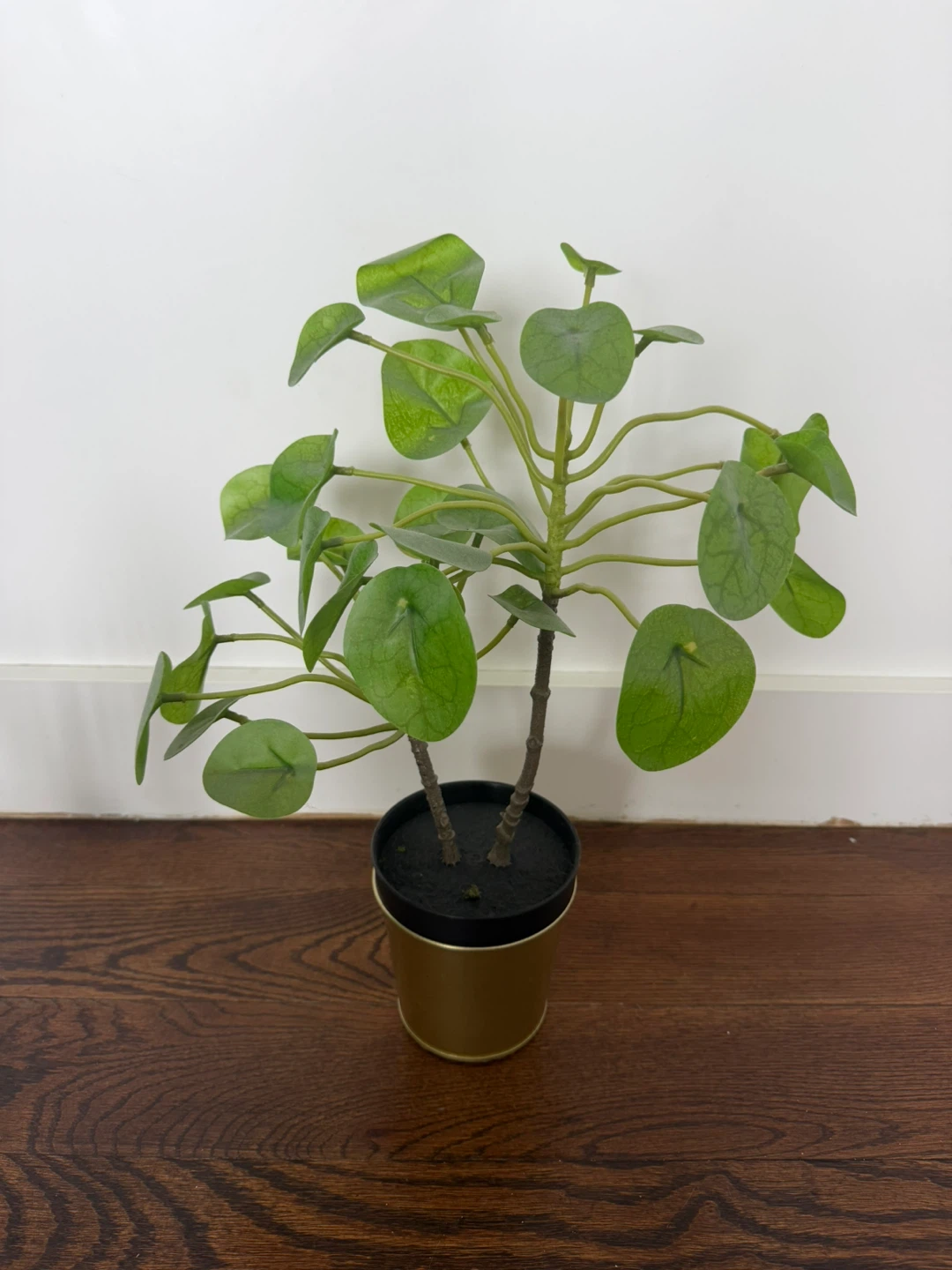Realistic Potted Plants - photo 2