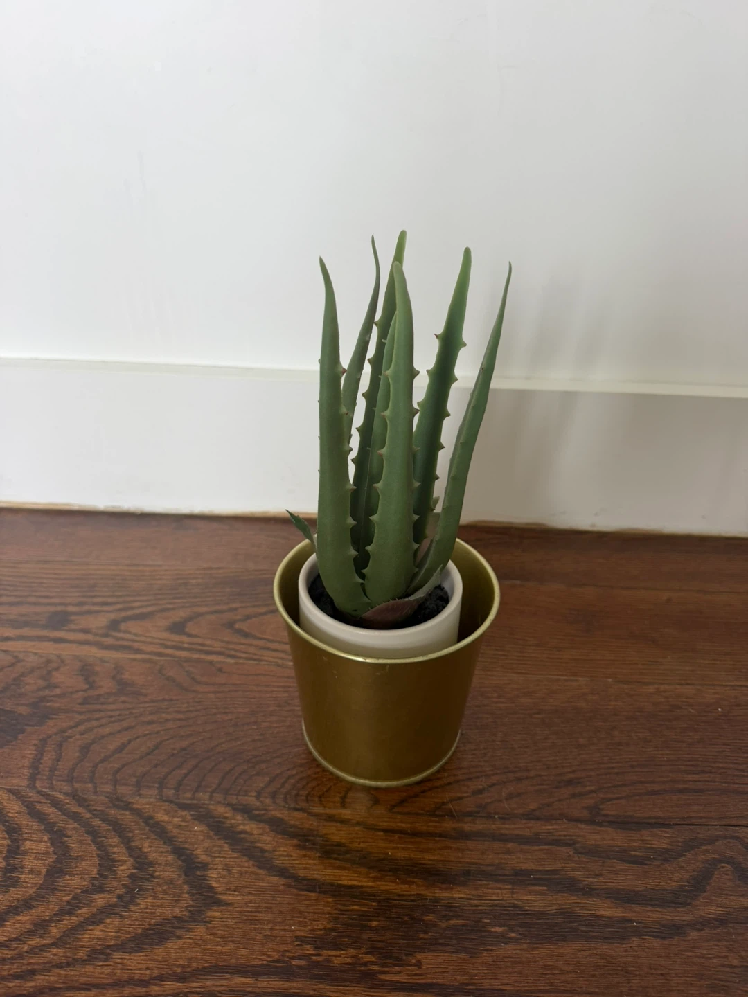 Realistic Potted Plants - photo 4