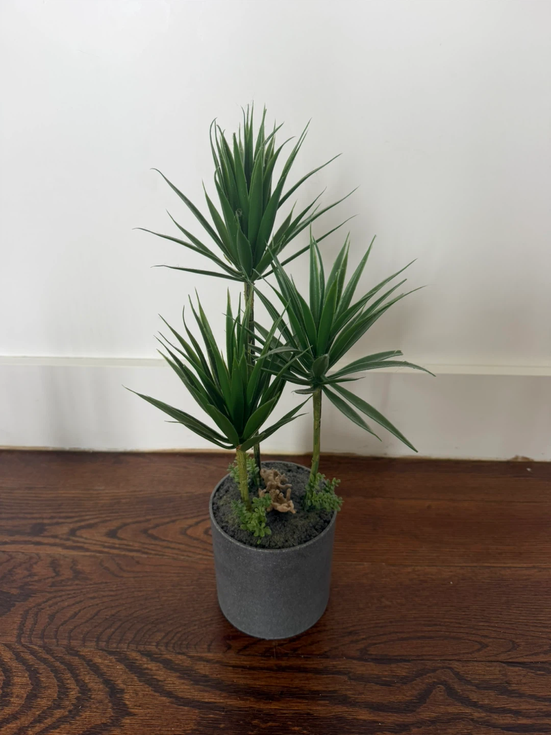 Realistic Potted Plants - photo 3