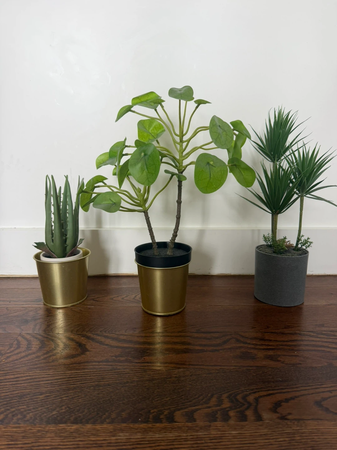 Realistic Potted Plants