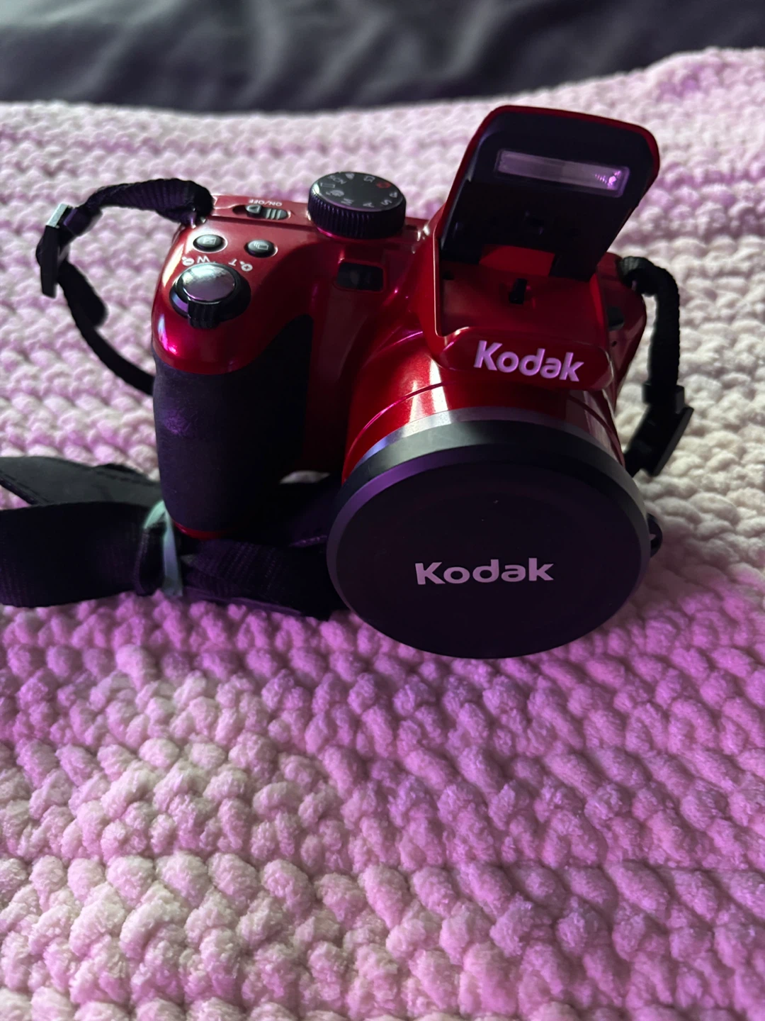 Kodak PIXPRO AZ421 Digital Camera - Red - Works!