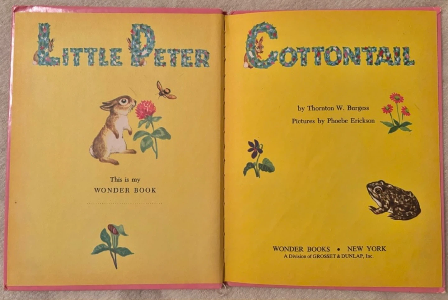 ⚽️ 1956 Little Peter Cottontail by Thornton W. Burgess - photo 3