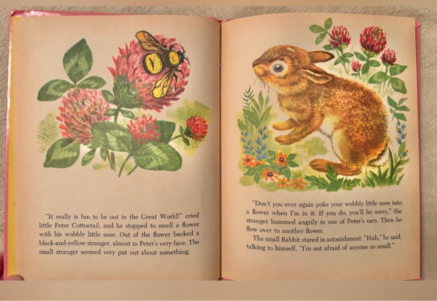 ⚽️ 1956 Little Peter Cottontail by Thornton W. Burgess - photo 5