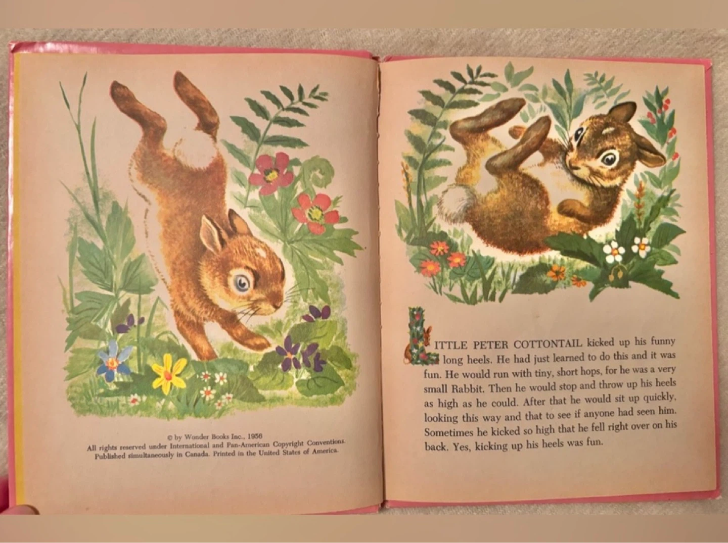 ⚽️ 1956 Little Peter Cottontail by Thornton W. Burgess - photo 4
