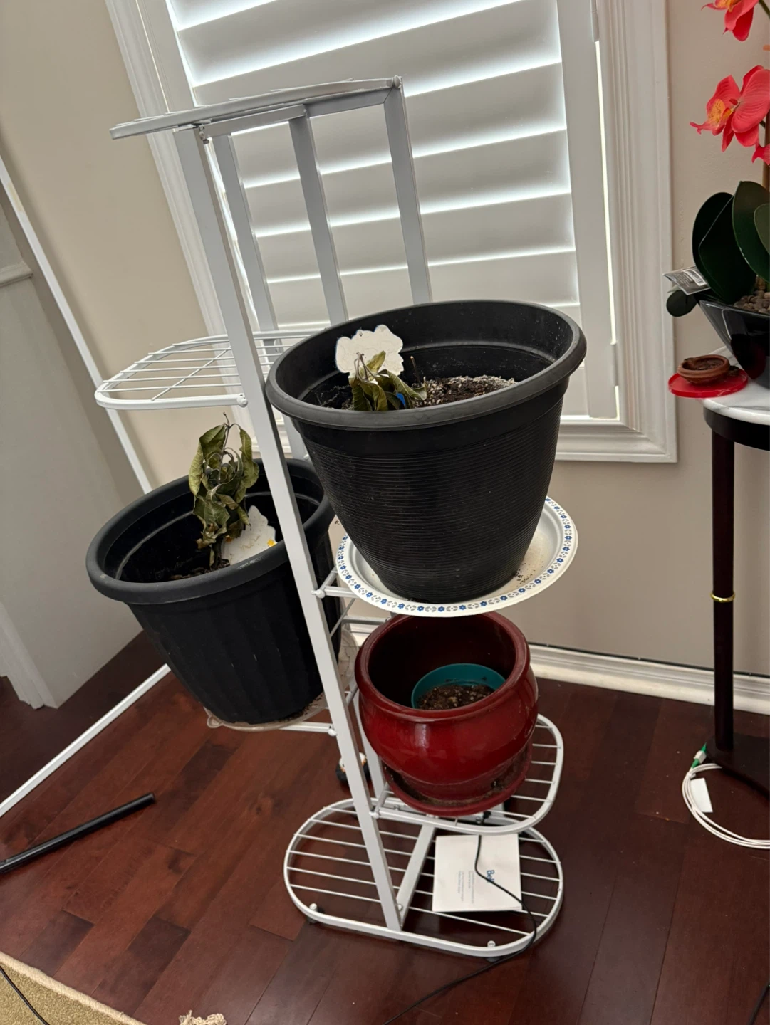White Metal Plant Stand with 5 Tiers