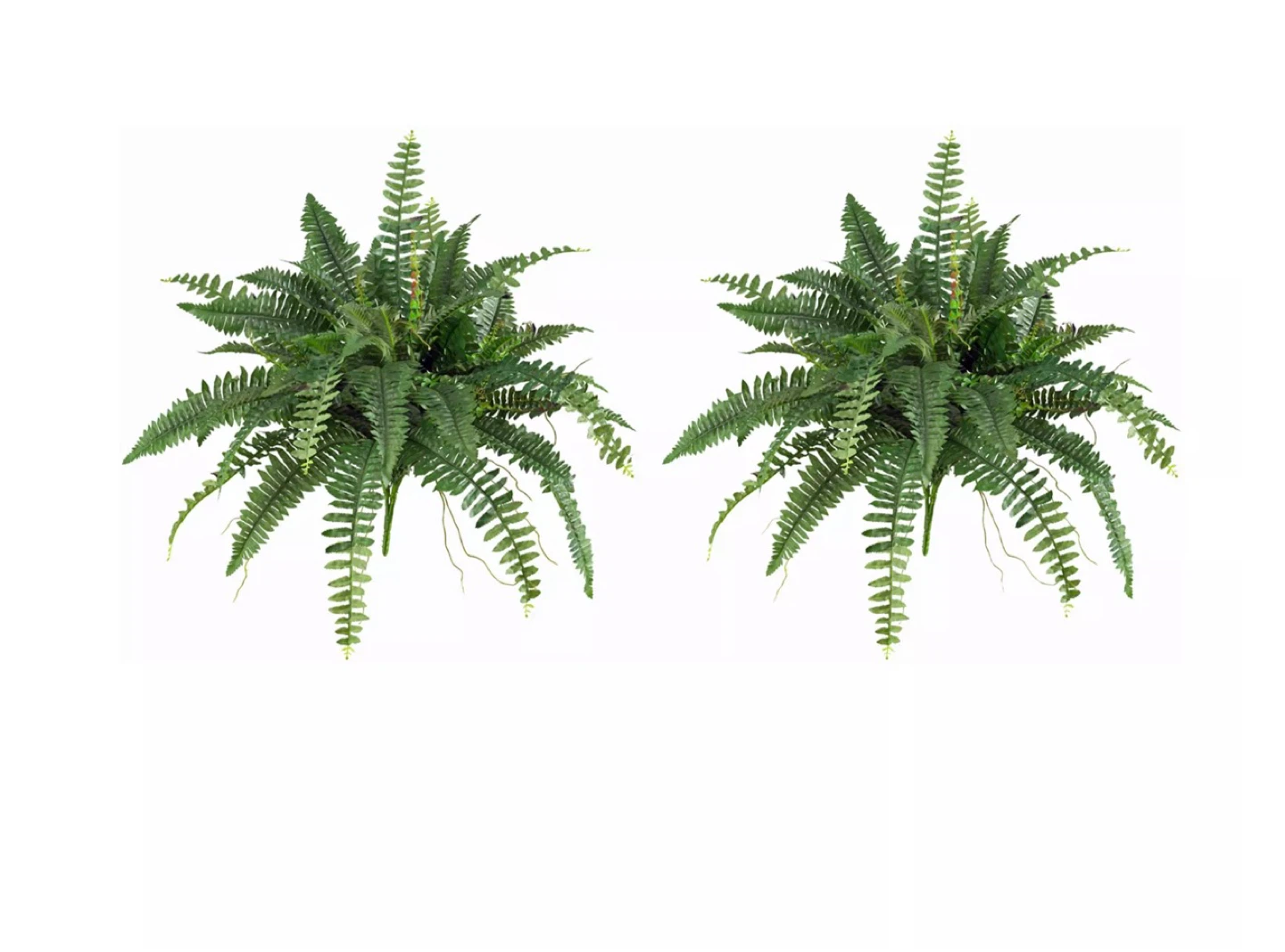 Nearly Natural 30-inch Artificial Boston Fern Set - photo 4